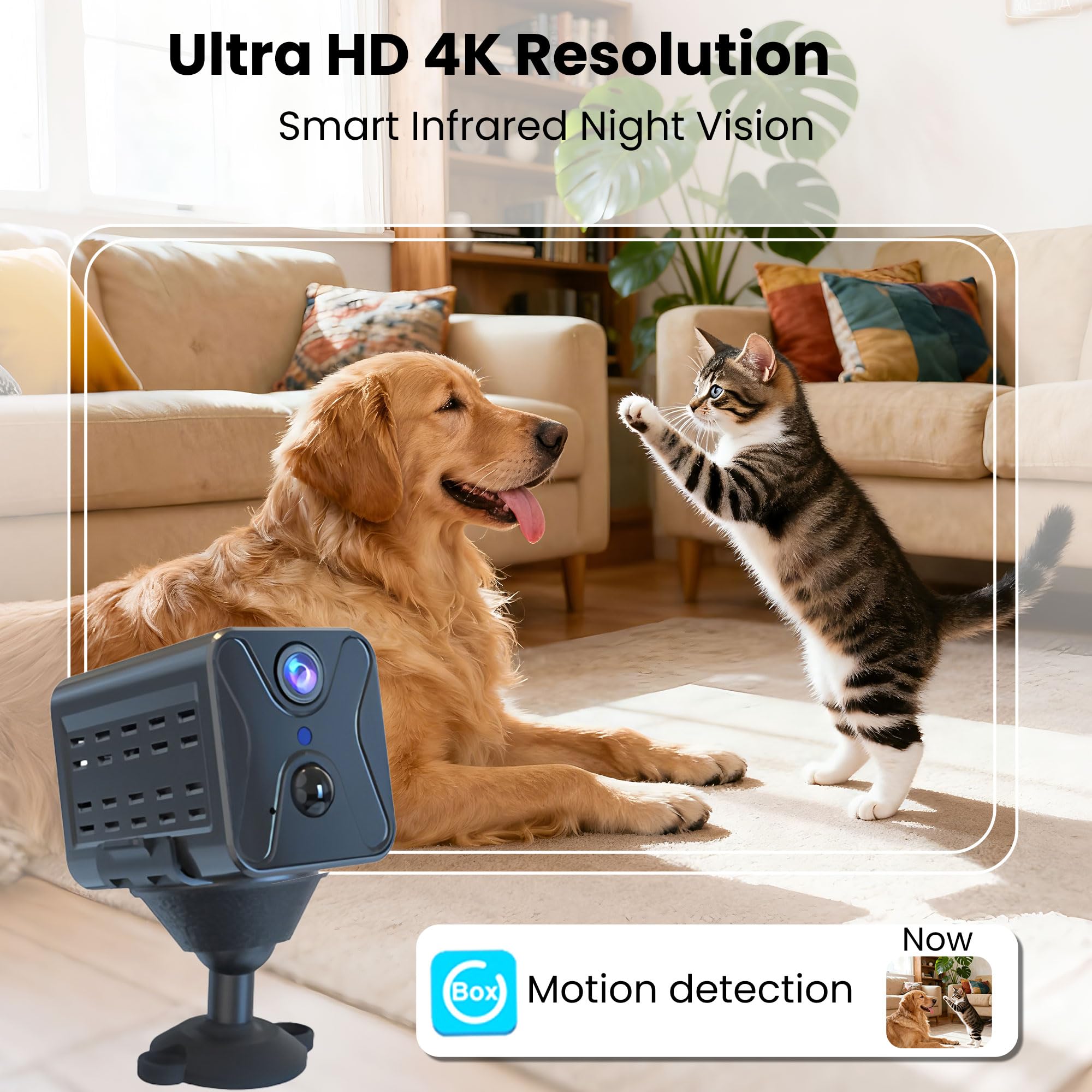camcam cat777商品 Amazon.com: javiscam Mini Spy Camera 2026 Upgraded 4K Mini Hidden