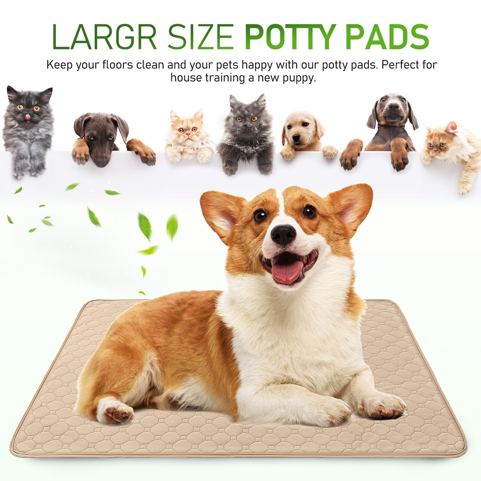 ARTIBETTER 2 pezzi Tappetino Igienico Cane Lavabile con Base Antiscivolo e Superficie Assorbente per Cani Gatti e Animali Domestici Traversine Riutilizzabili Impermeabili per Addestramento e