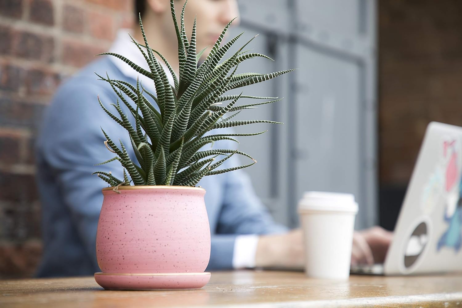 Succulent Flower Planting Pots | Small Planter Pot for Plants | Drainage Hole, Detachable Saucer | Perfect for Outdoor Garden, Indoor, Office Work Desk, Coffee Table, Cactus and Herbs