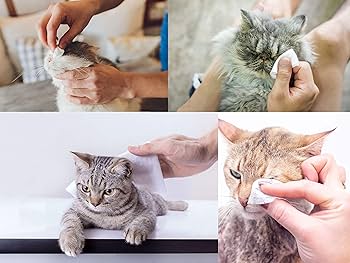 Dog Wipes All Purpose Cleaning Pet Wipes for Dogs Cats Puppies Alcohol Free (1 Pack of 60 Wipes) : Amazon.co.uk: Pet Supplies