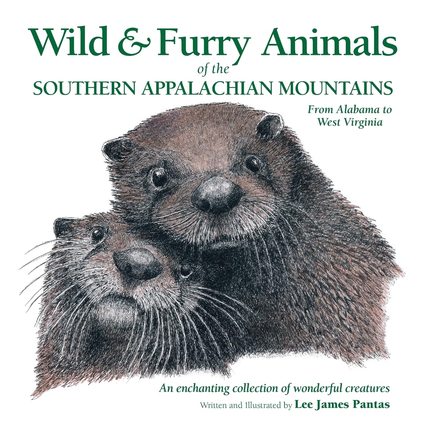 Wild & Furry Animals of the Southern Appalachian Mountains