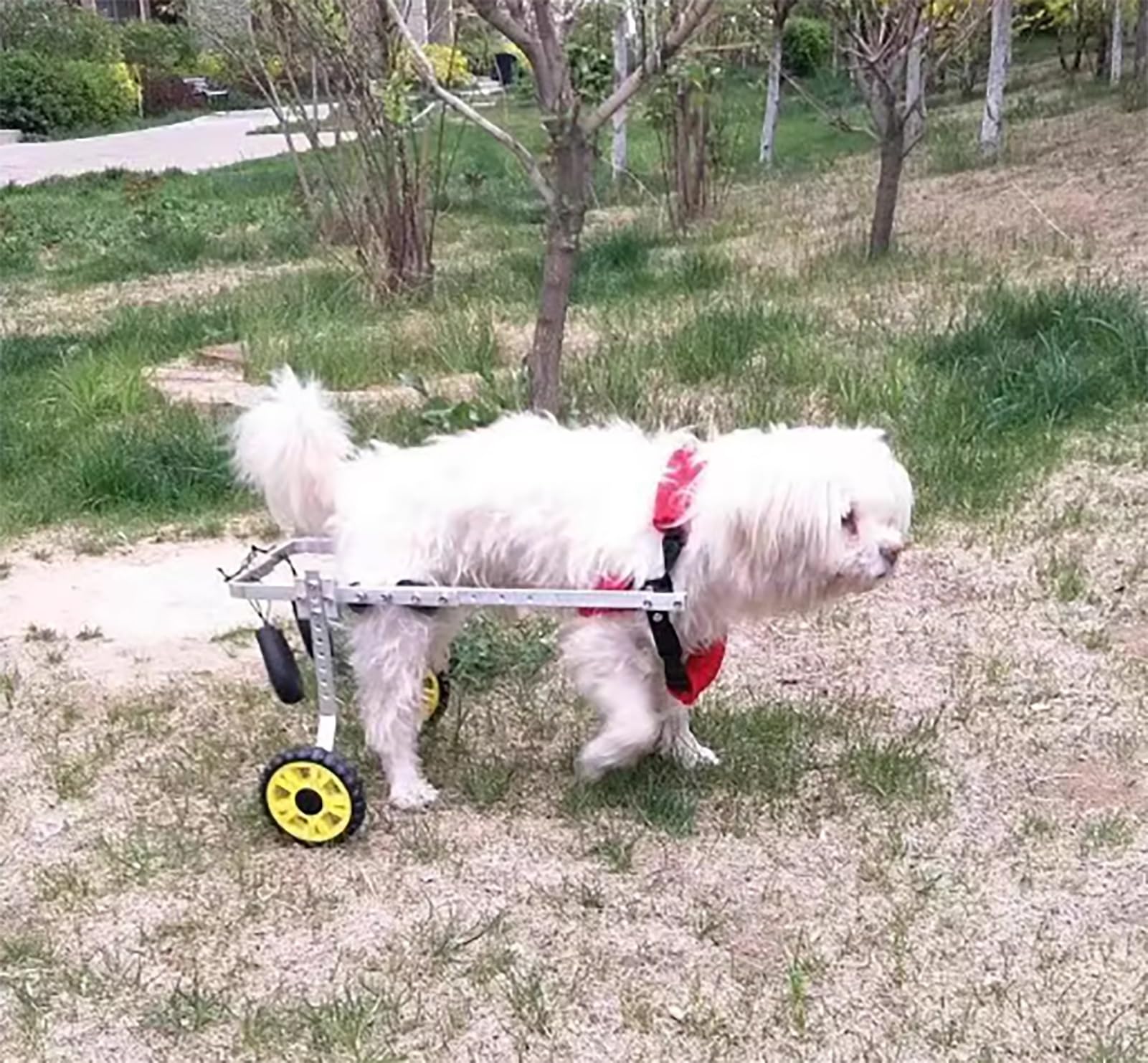 Rollstuhl-Hilfe, für Hunde und Katzen, mit Rädern, Hebehilfen für Behinderte, Größe XS (breit)