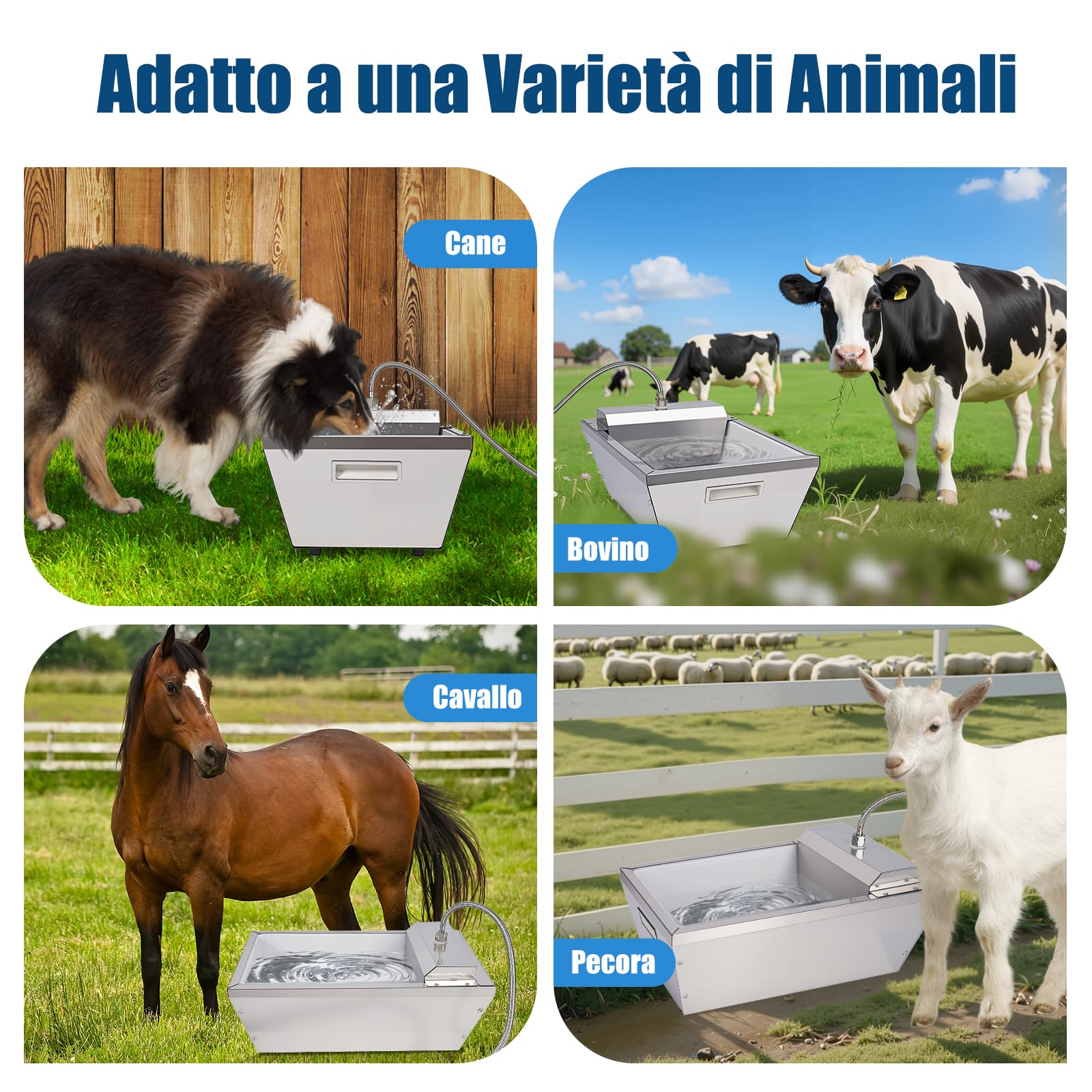 Bottega D'Acqua Automatica Per Bestiame,Bottega D'Acqua Automatica Da 13 Litri Per Cavalli,Dispenser D'Acqua Automatico Per Cani All'Aperto,Impiegatore Auto-Riempimento Inossidabile