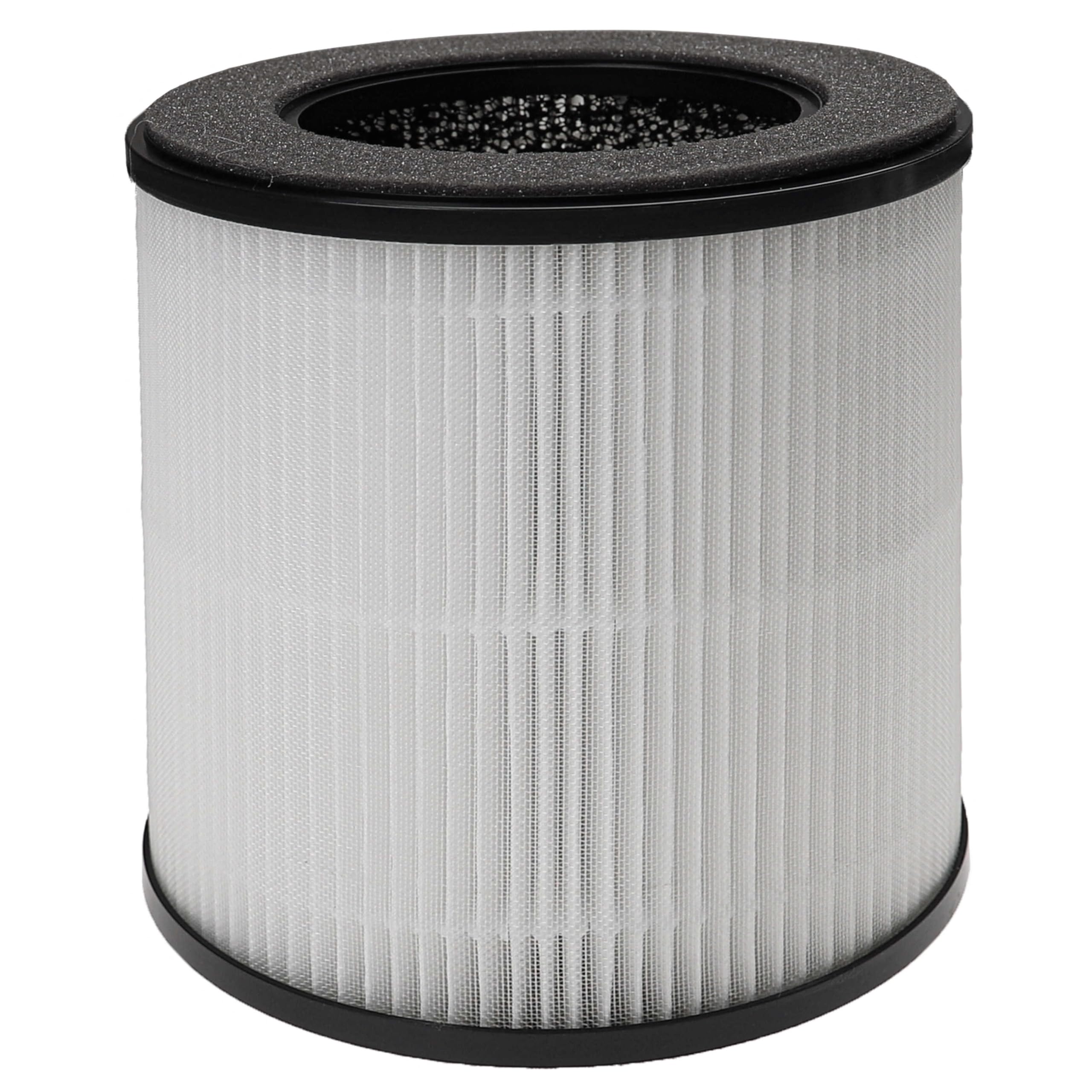 Vhbw Filtro Aria Per Comedes LR 200 - HEPA + Carbone Attivo - Ricambio PT94024