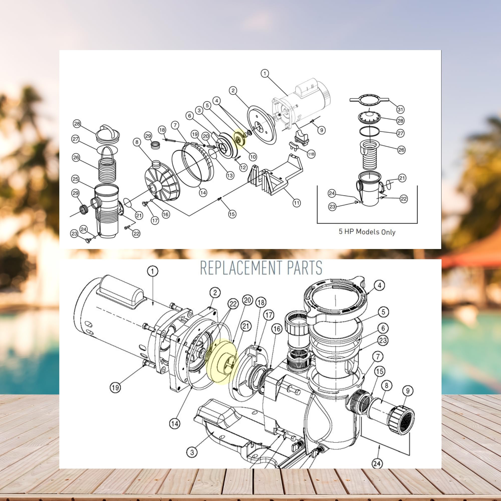 Mission Conductivité Supplémentaire pompe pentair superflo Rencontre injecter la