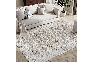 jinchan Washable Area Rug 4x6 Low Pile Bedroom Rug