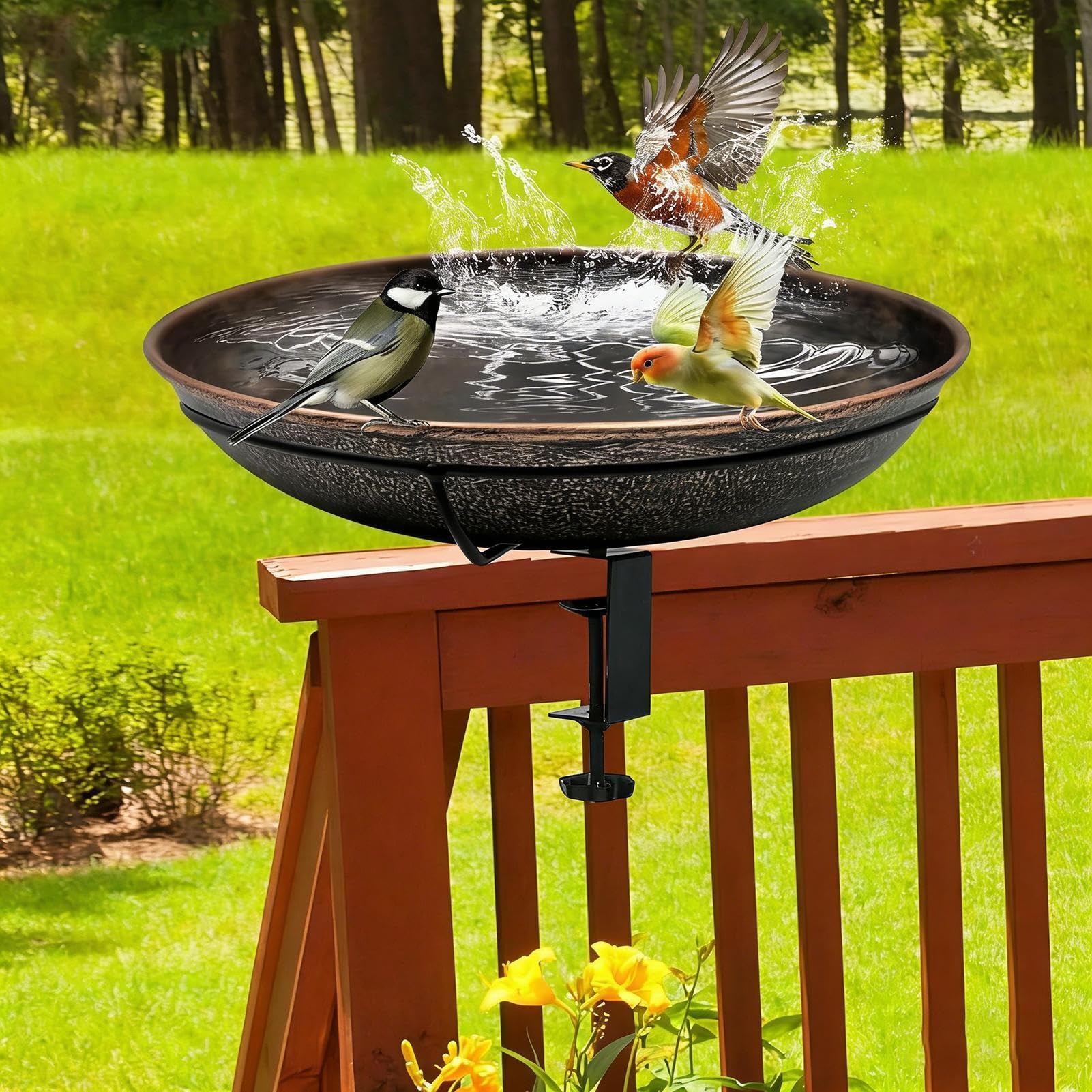 Bain d'oiseaux à montage sur rambarde avec mangeoire en métal à pince