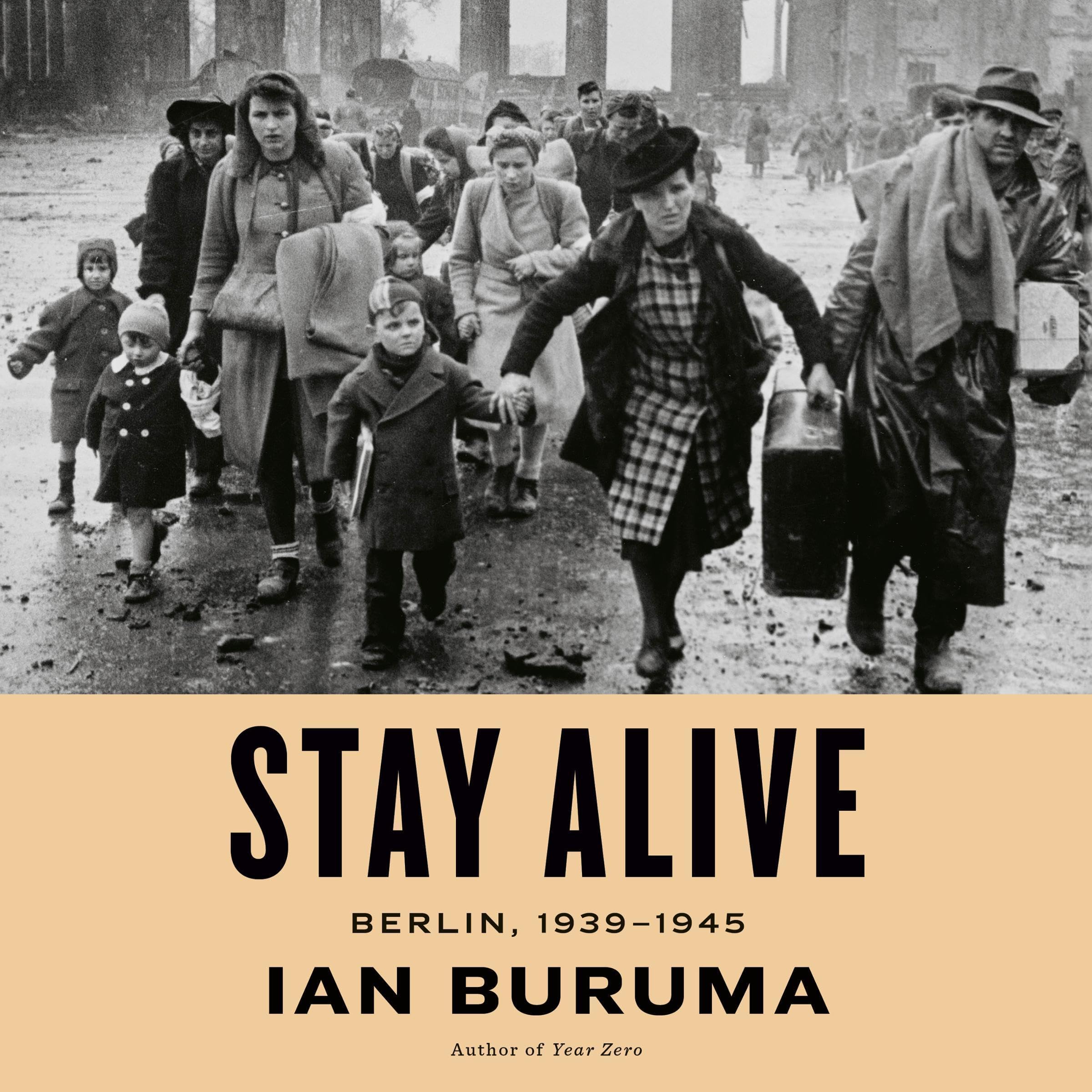 Cover art for Stay Alive