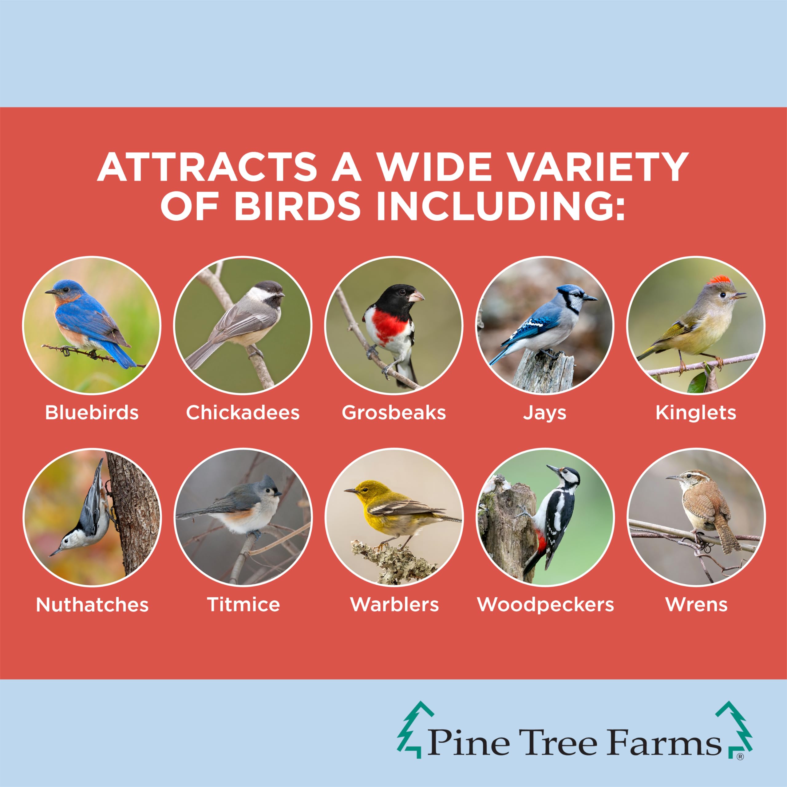 Pine Tree Farms Woodpecker Classic Seed Log for Wild Birds, 36 oz. (3 Pack)