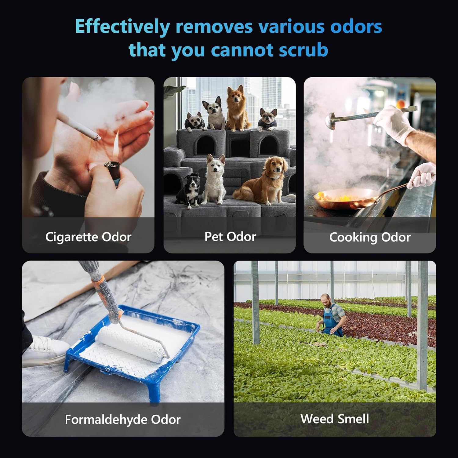 Ozone Generator 55,000 mg/h, Compact, 10s Safety Evacuation, Precision Electronic Control, O3 Odor Eliminator for Home, Car, Pet Smell, and Basement up to 2400 Sq.Ft - OZE1, Black