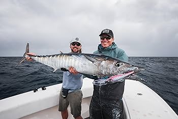 Amazon.co.jp: DTX ミノー 220 高耐久 SNK 9インチ : スポーツ＆アウトドア