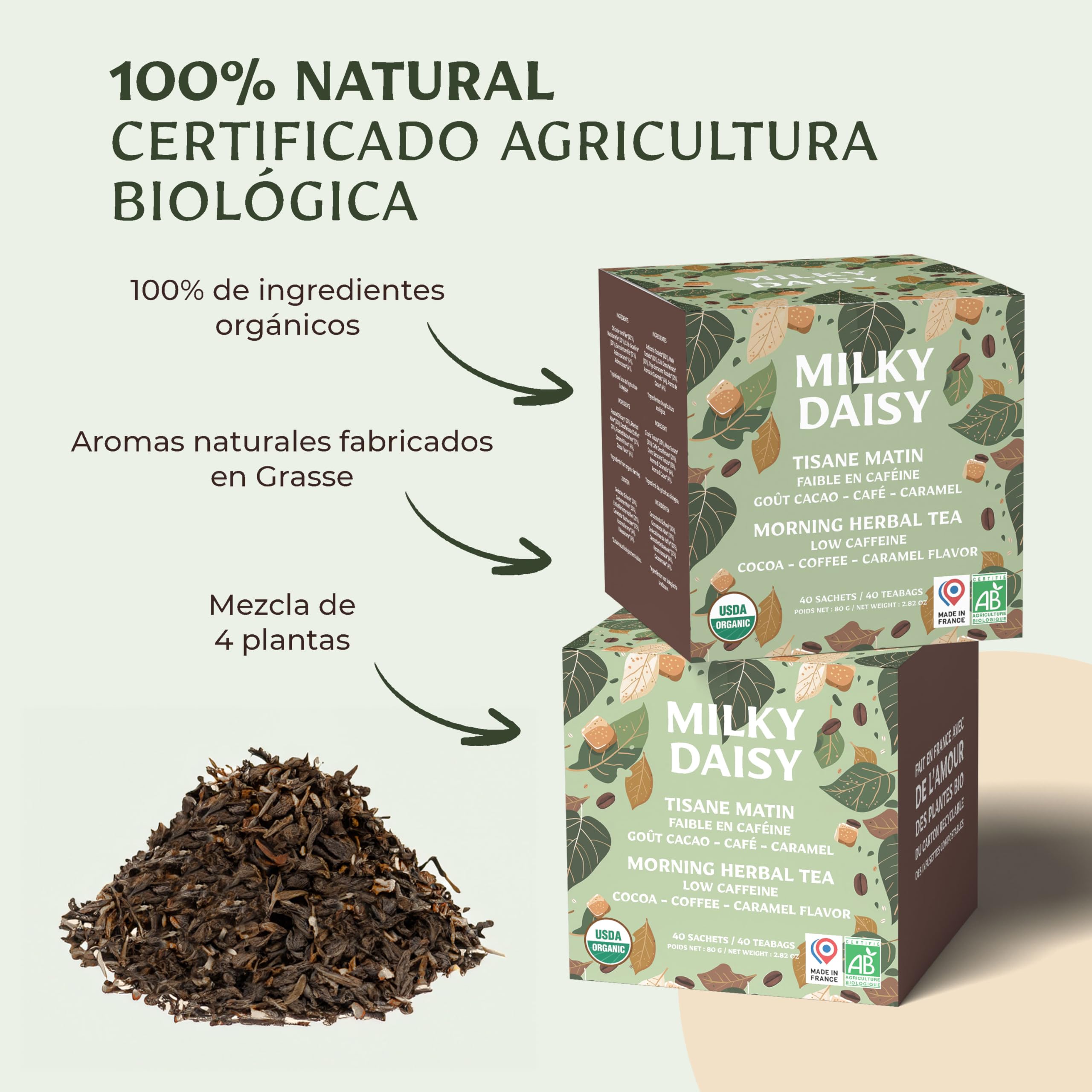 Milky Daisy Té Matutino Orgánico Sustituto del Café Sabor Cacao Café Caramelo Energizante Bajo en Cafeína 40 Bolsitas