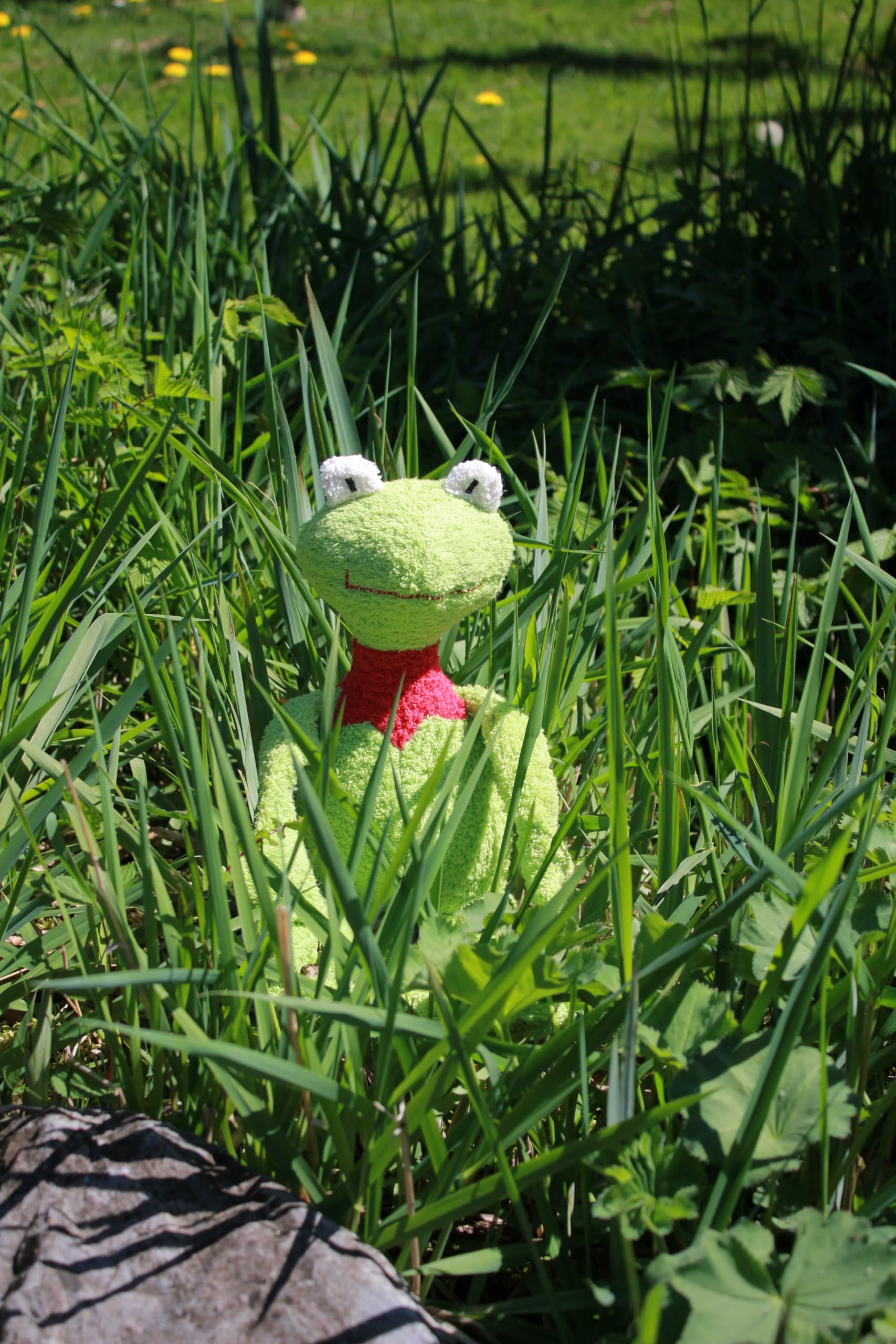 Efie gioco, Peluche & peluche a forma di rana, materiale biologico (Organic), made in Germany