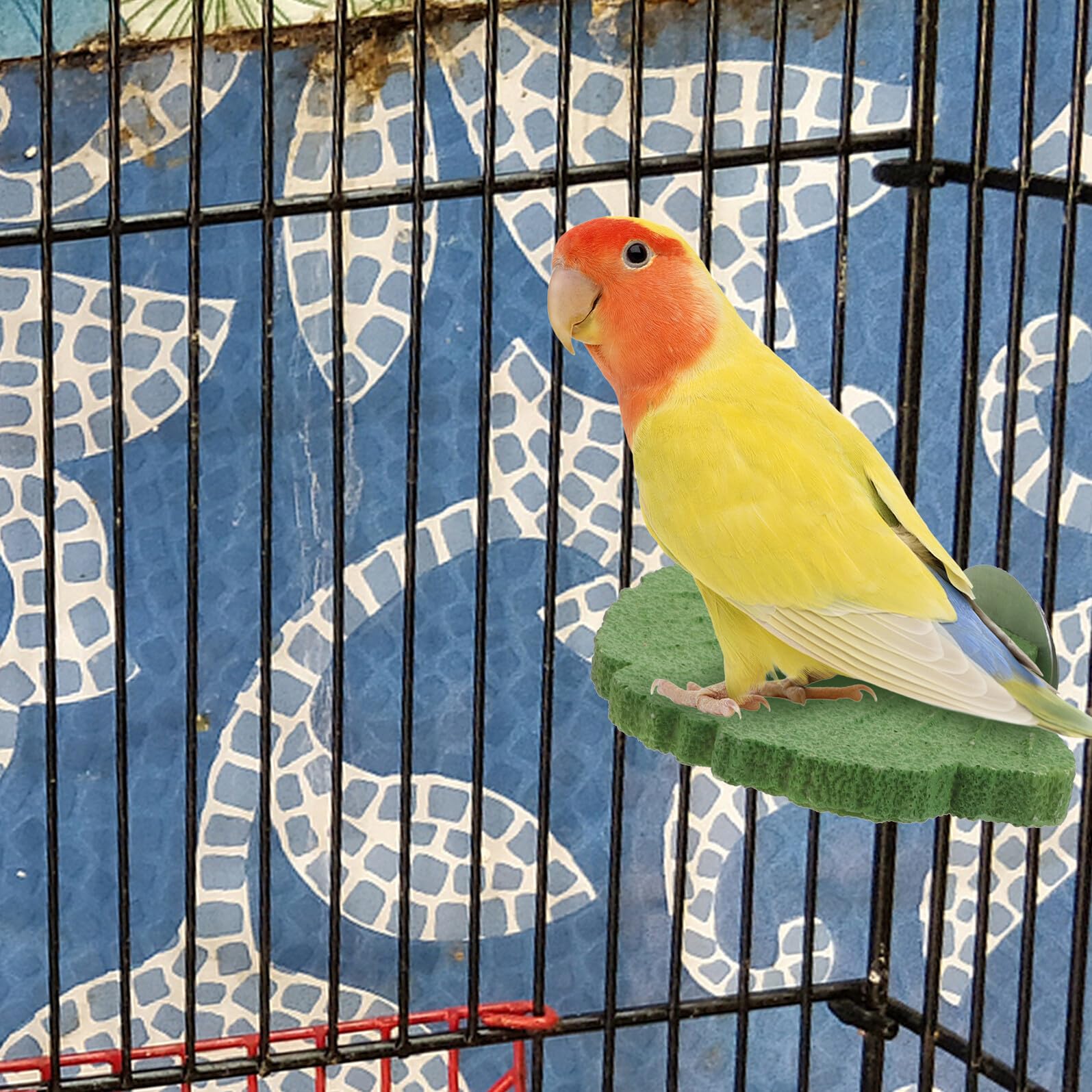 DOITOOL 3 Stück Vogelstangen mit Krallenschleifstein rutschfest Stabile Sitzplattform für Papageien Wellensittiche und Nymphensittiche Vogelkäfigzubehör