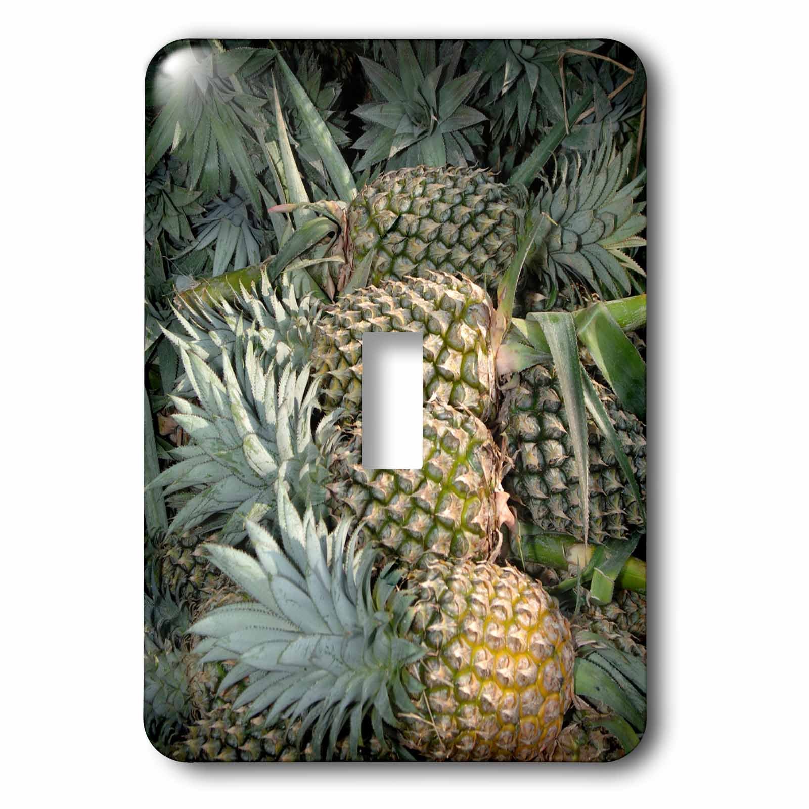Interrupteur à bascule ananas pour effacer les traces de doigts mur