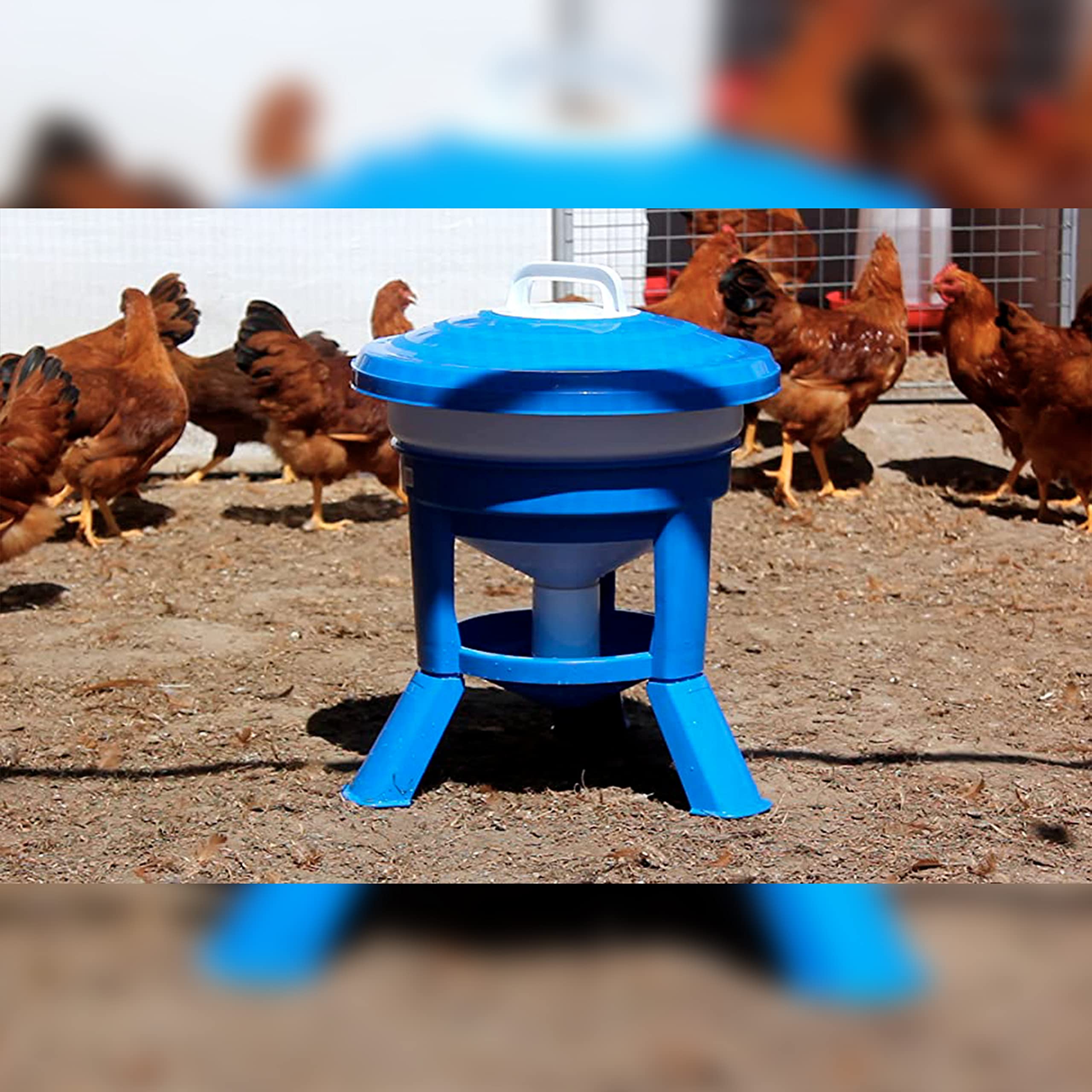 Bebedero Sifón Premium 20L con Patas para Gallinas - Gran Capacidad Fabricado en Plástico