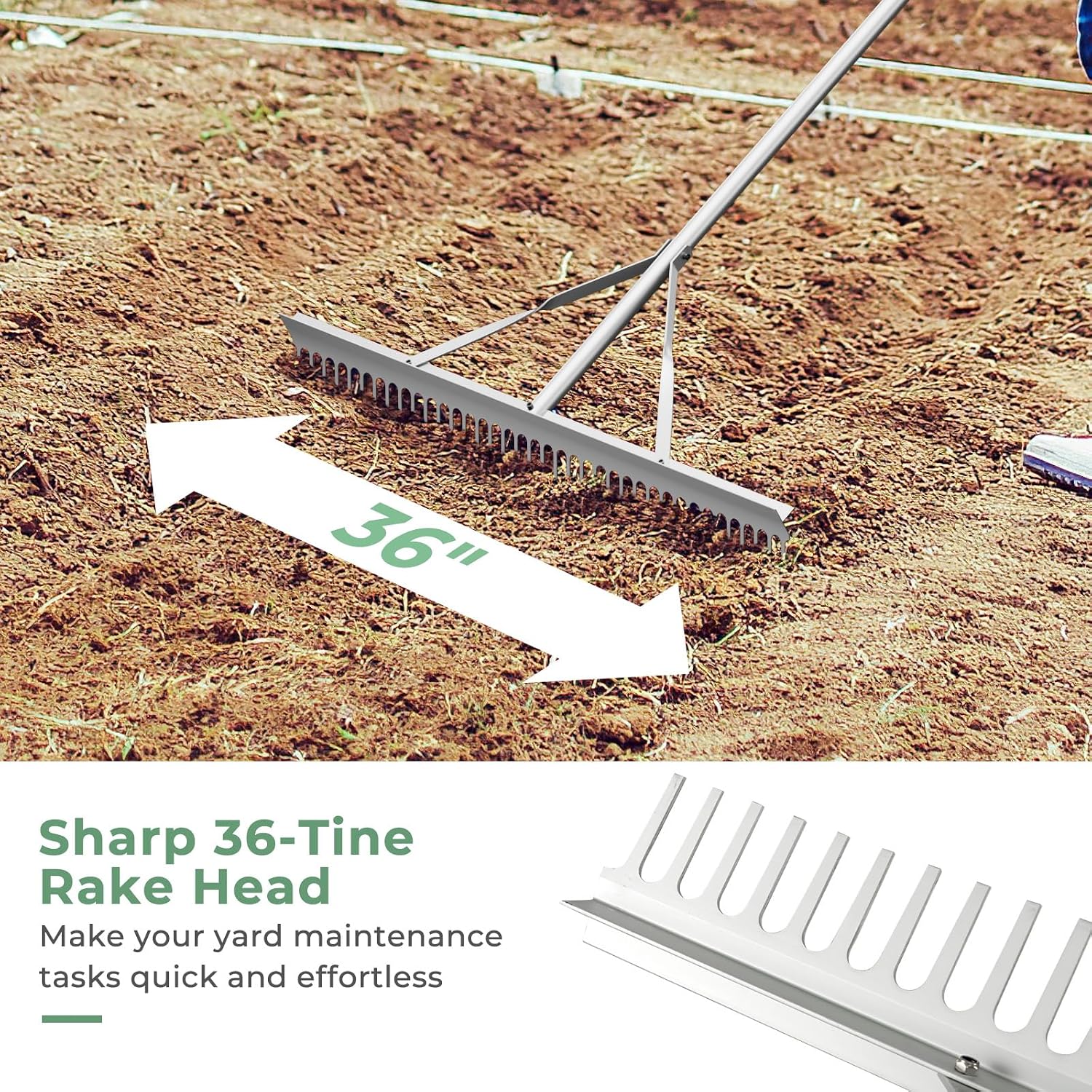 S AFSTAR 36-Inch Landscape Rake, Heavy-Duty Aluminum Rake w/ Head, 36 Tines, 68" Long Handle, Yard Rake for Loosening Soil, Landscaping Lawn Care, Garden Lake Pond Beach Care, Metal Rakes Tool