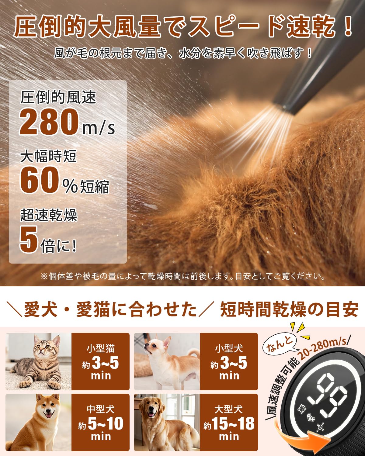 Amazon.co.jp: Petaboo 犬 ドライヤー 99段風速調整&マイナスイオン