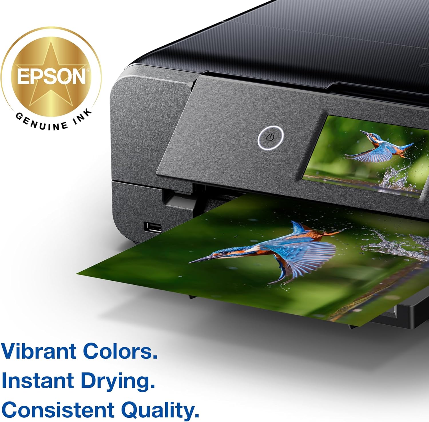 EPSON 279 Claria Photo HD Ink High Capacity Black Cartridge (T279XL120-S) Works with Expression Photo XP-980