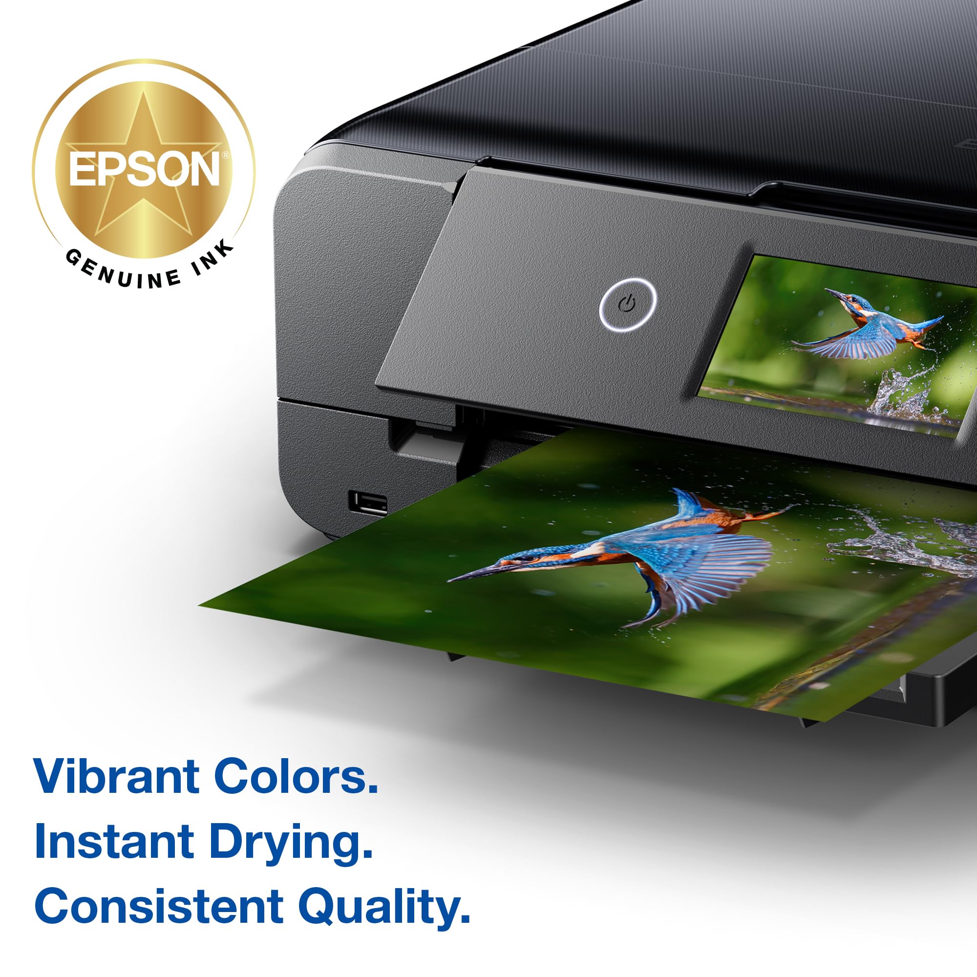 Amazon.com: EPSON 279 Claria Photo HD Ink Standard Capacity 5