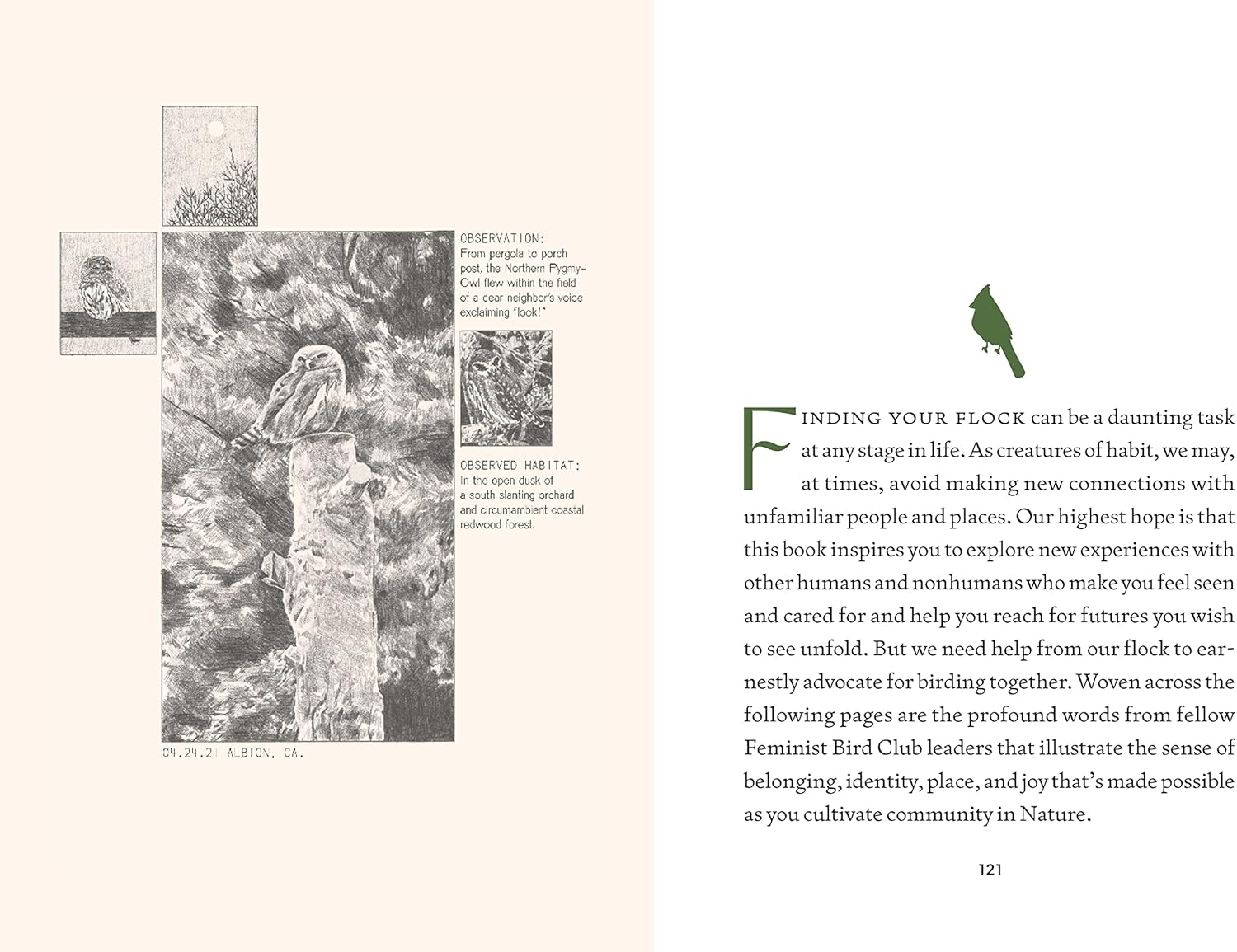 Birding for a Better World: Inclusive Nature Guide