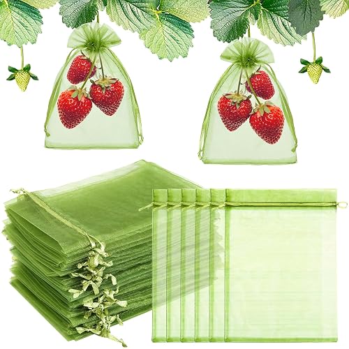 FloraSea Fruit Protection Bags 50 PCS 4X6 inches