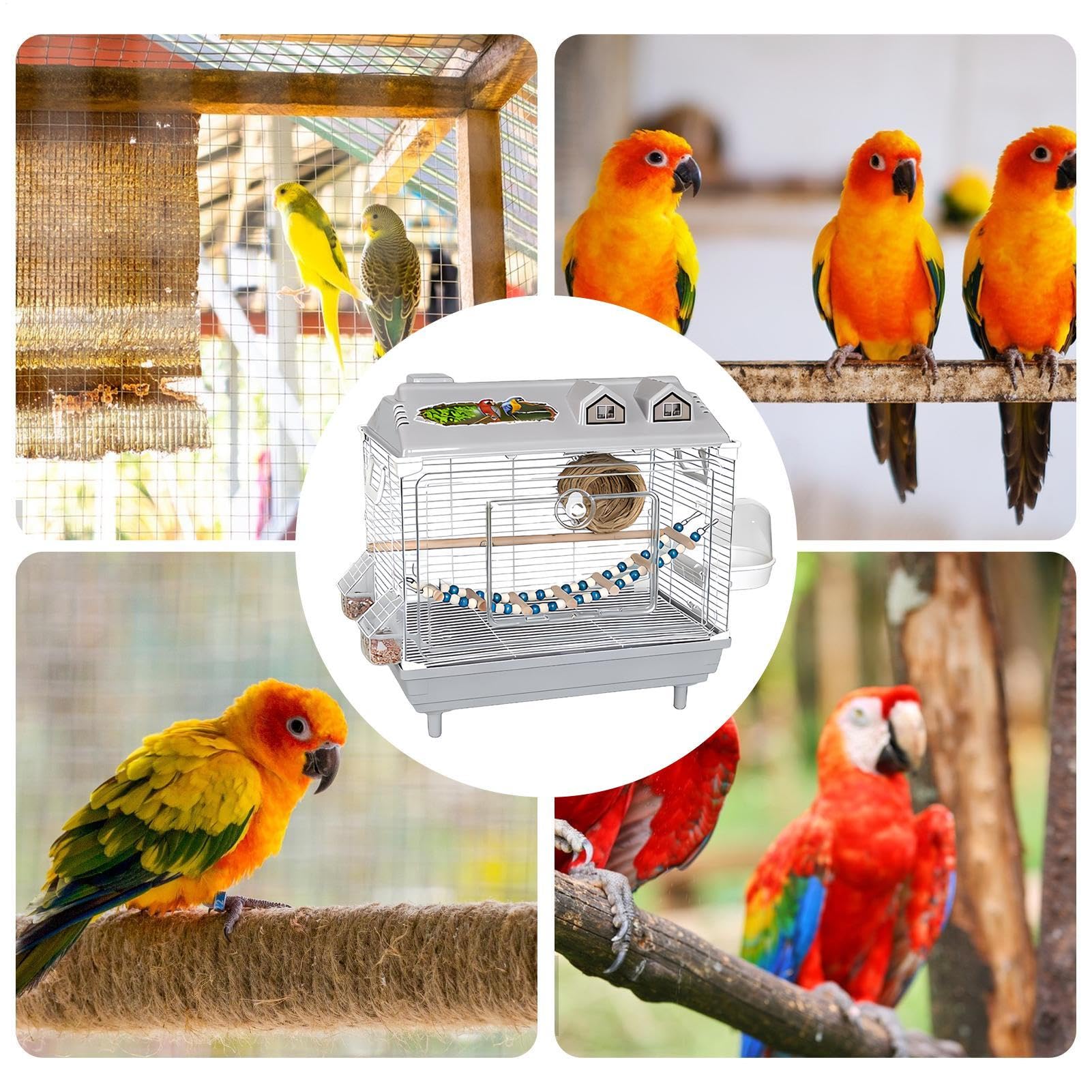 Jaula para Aves y Pájaros Transportín Transparente Portátil Para Cacatúas | Jaula Para Conuros Con Percha De Madera Para Canarios, Agapornis, Guacamayos, Conuros, Cacatúas Y Para En Interior