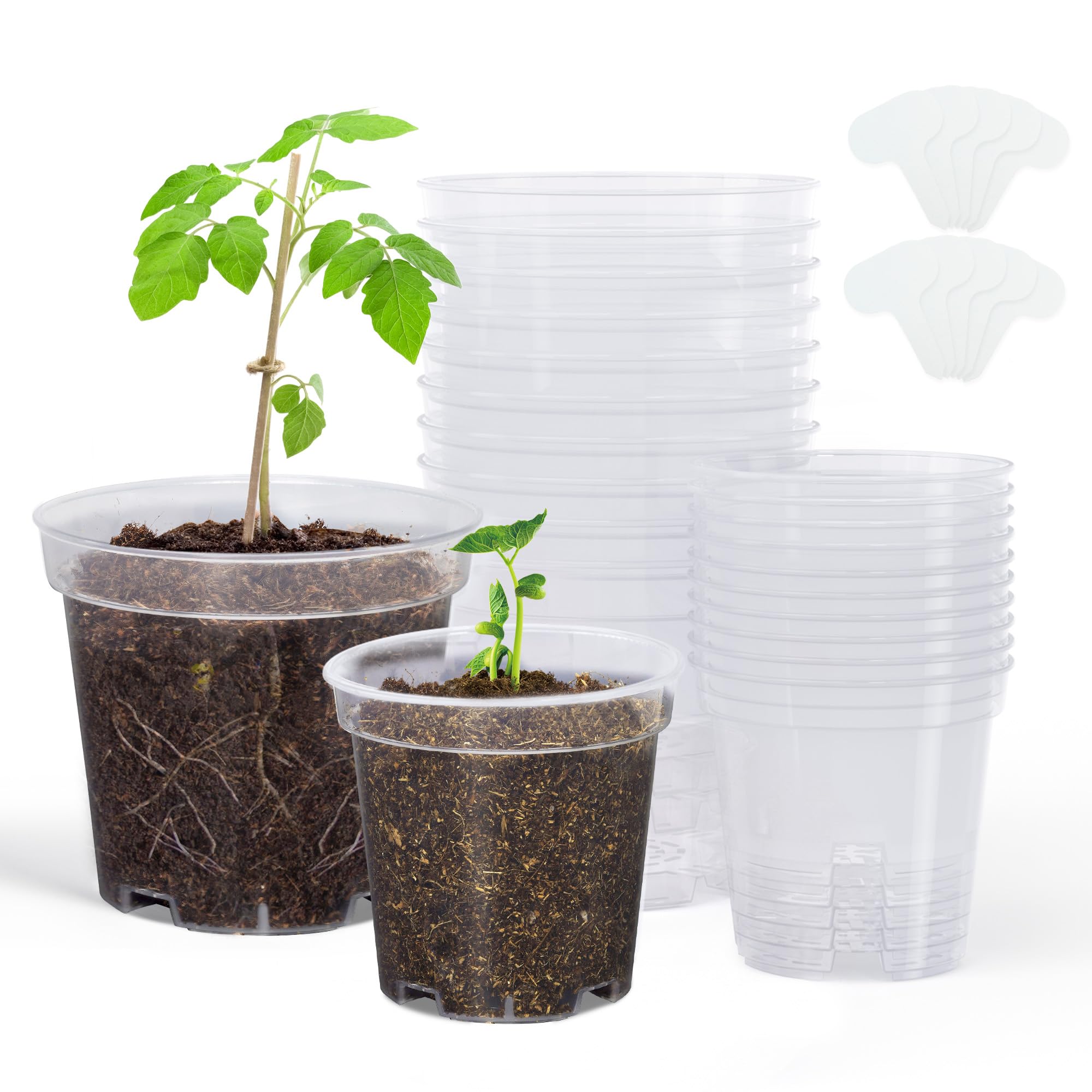 homenote 3/4 Inch Clear Nursery Pots with Drainage Holes and Tags (20 Pcs)