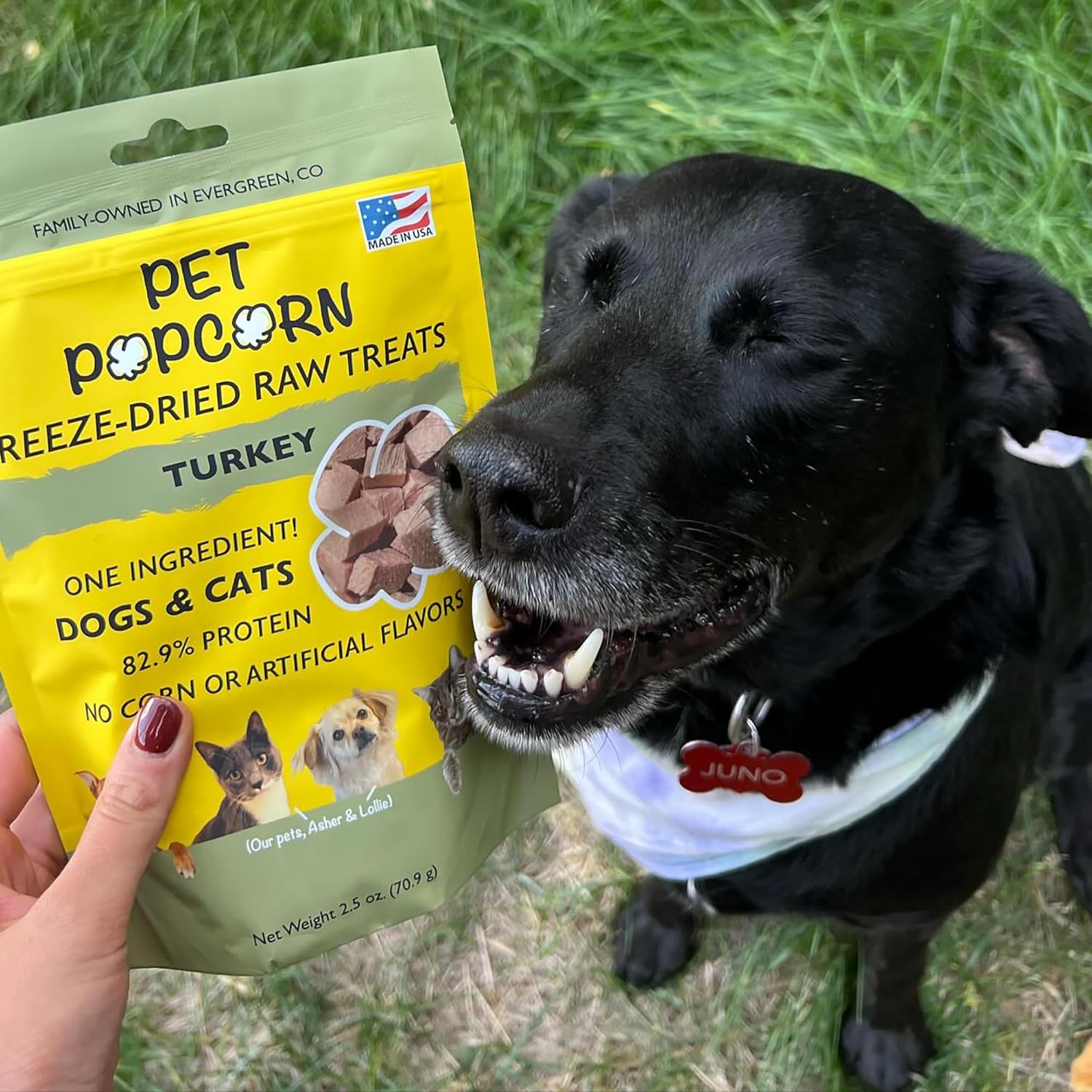 Freeze-Dried Raw Treats - Turkey Breast - 2.5oz Bag, Dog & Cat Snacks, Single Ingredient, Natural, Pet Food Topper, Protein‑Packed Meat (Pack of 2)