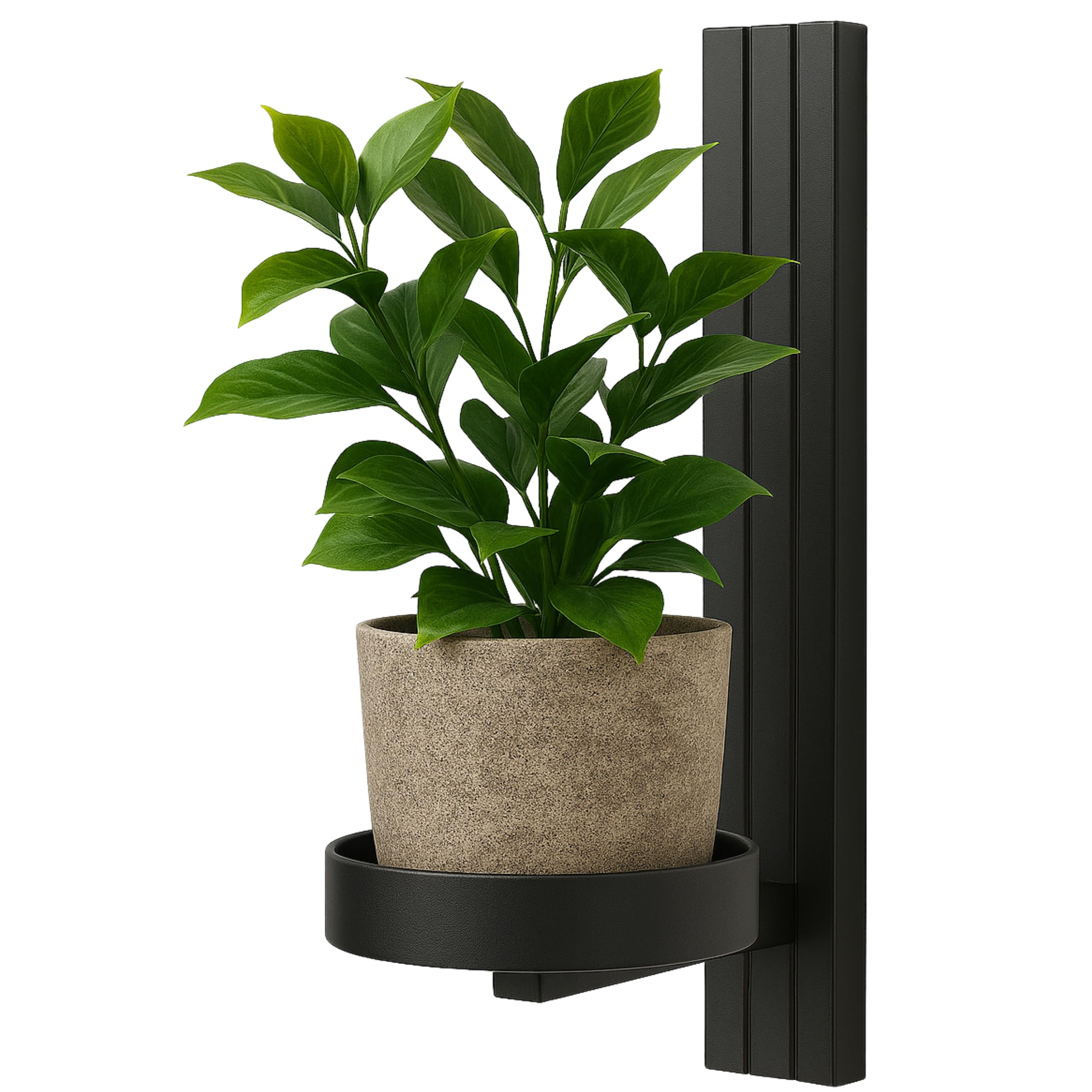 Étagère Murale pour Plantes – Support Suspendu pour Fleurs – en Métal – Décoration Murale Moderne pour Salon, Chambre d’Ado, Cuisine – 12x15x24cm – PIANTA DRITTO Noir
