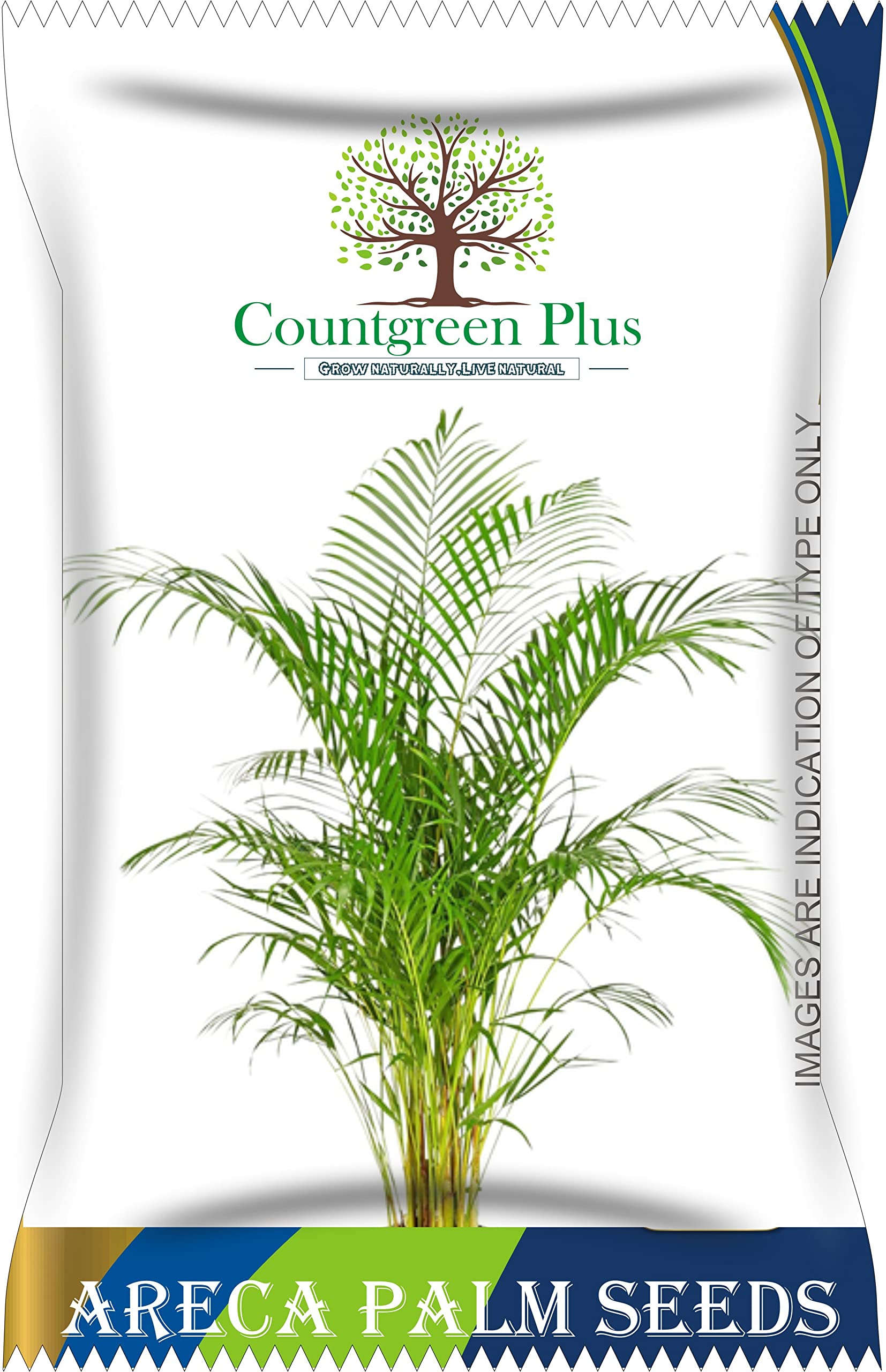 Countgreen Plus Areca Palm Ornamental Air Purifier Indoor Outdoor Planting Tree 10 Seeds (Pack of 4) (B0BPN1ZNN1) Amazon Price History, Amazon Price Tracker
