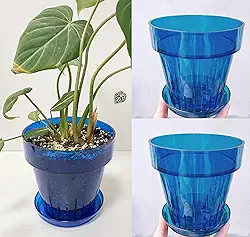 RISEON Pacote com 3 potes de orquídea de plástico acrílico transparente com furos e pires, vaso de acrílico grosso, orquídea Dendrobium Oncidium Cattleya para repotting para ambientes internos e