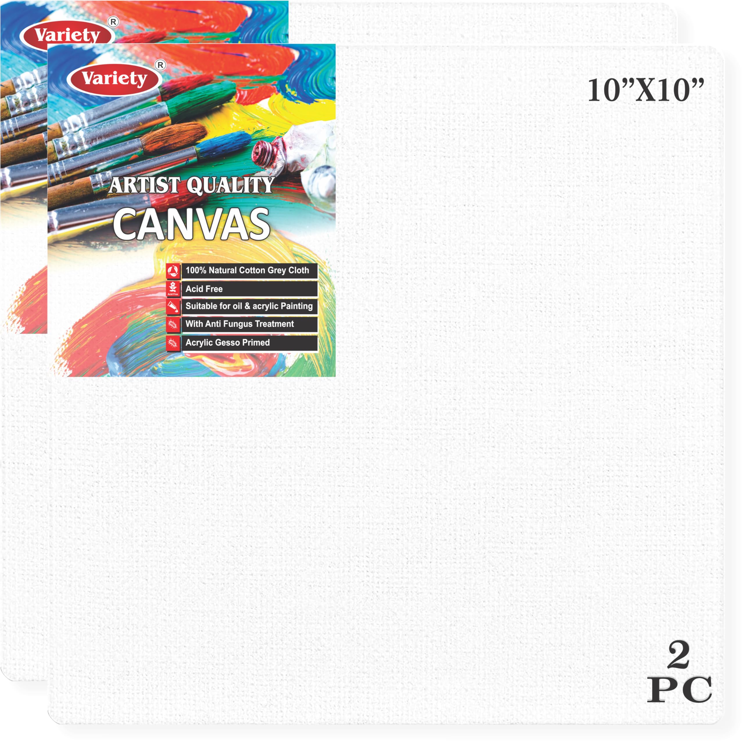 Variety Canvas: Premium Cotton Canvas Panels (Set of 2) -16