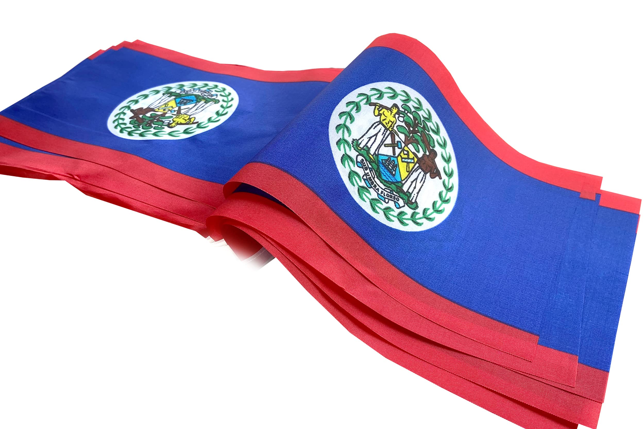 Belize Flag Fashion Watch for Women Easy Reader Round Watches Slim Quartz Casual Wrist Dress Watch Pink