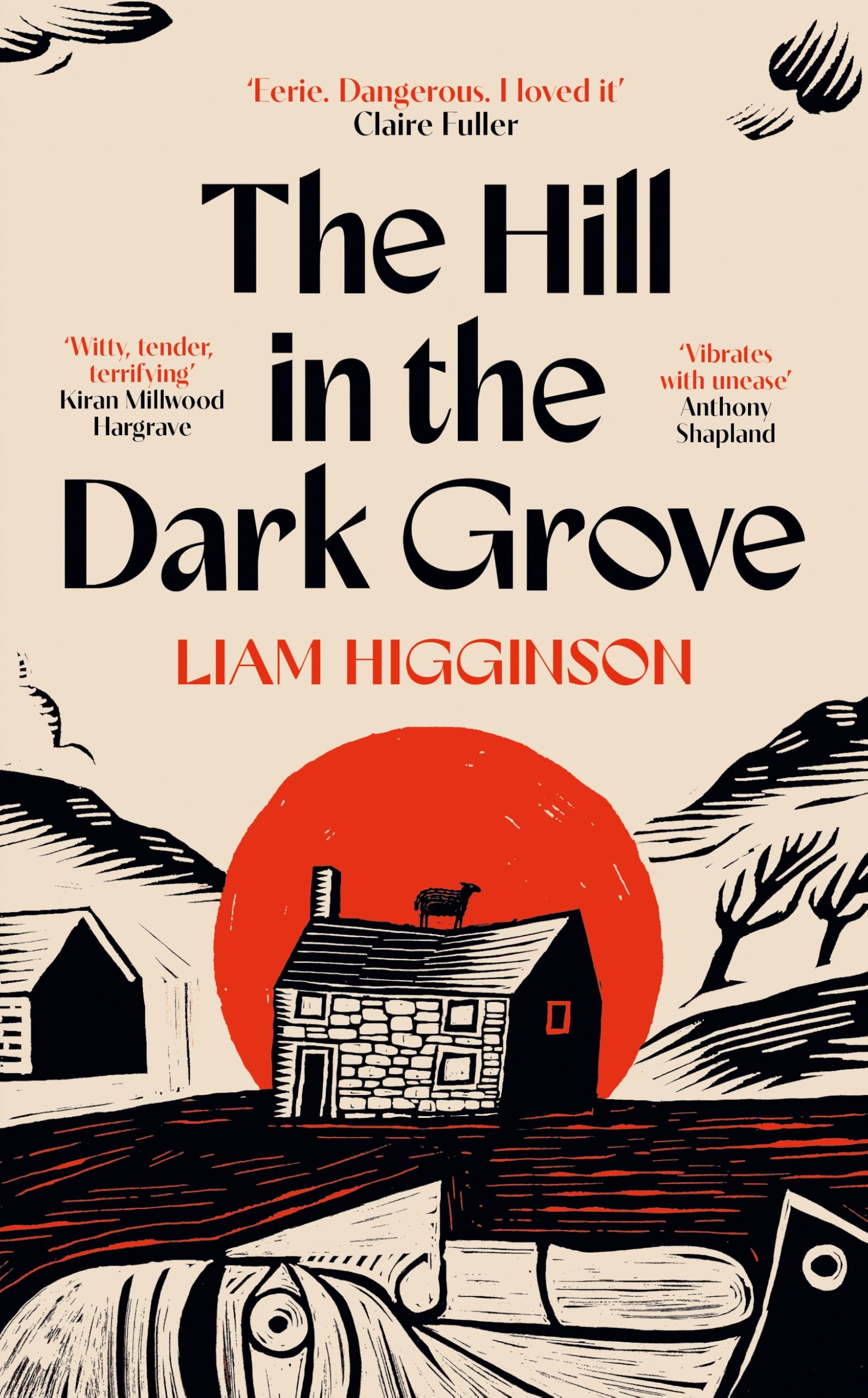 The Hill in the Dark Grove: the haunting folk horror novel that will have you gripped