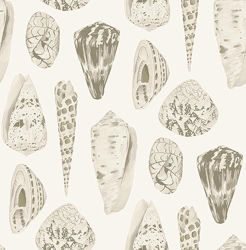 Cream Coquina Scalamandre - Papel tapiz autoadhesivo, color blanco