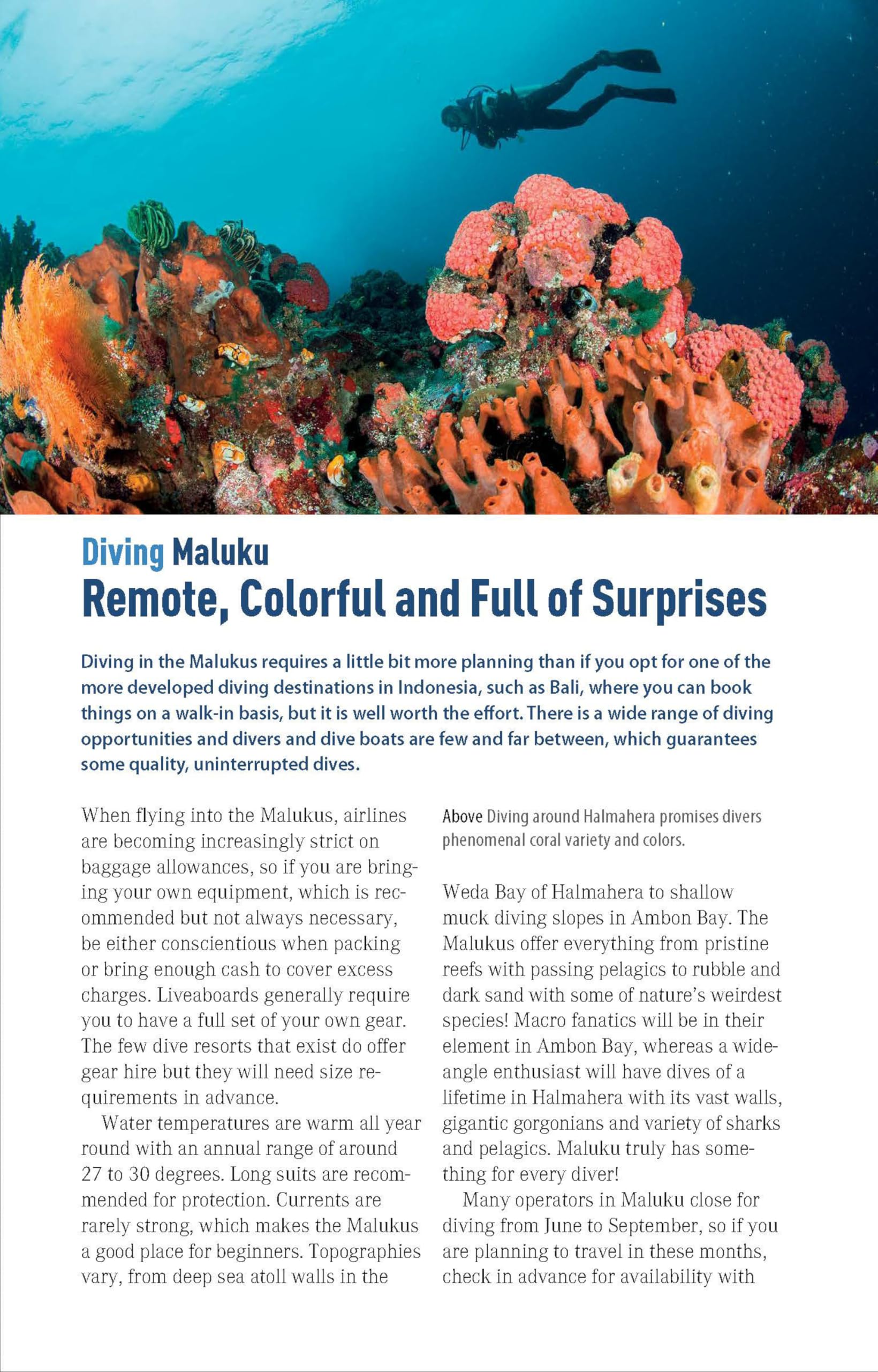 The Ultimate Guide to Diving in Indonesia: Exploring the Tropical Seas with the World's Greatest Marine Biodiversity
