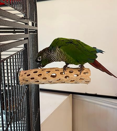 Vista 4 de Polly's Cholla - Perca para pájaros de cactus, pequeña