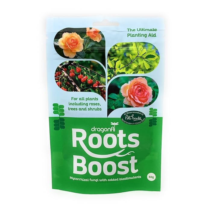 Buy Dragonfli Roots Boost Mycorrhizal Fungi Granules 60g Bolster