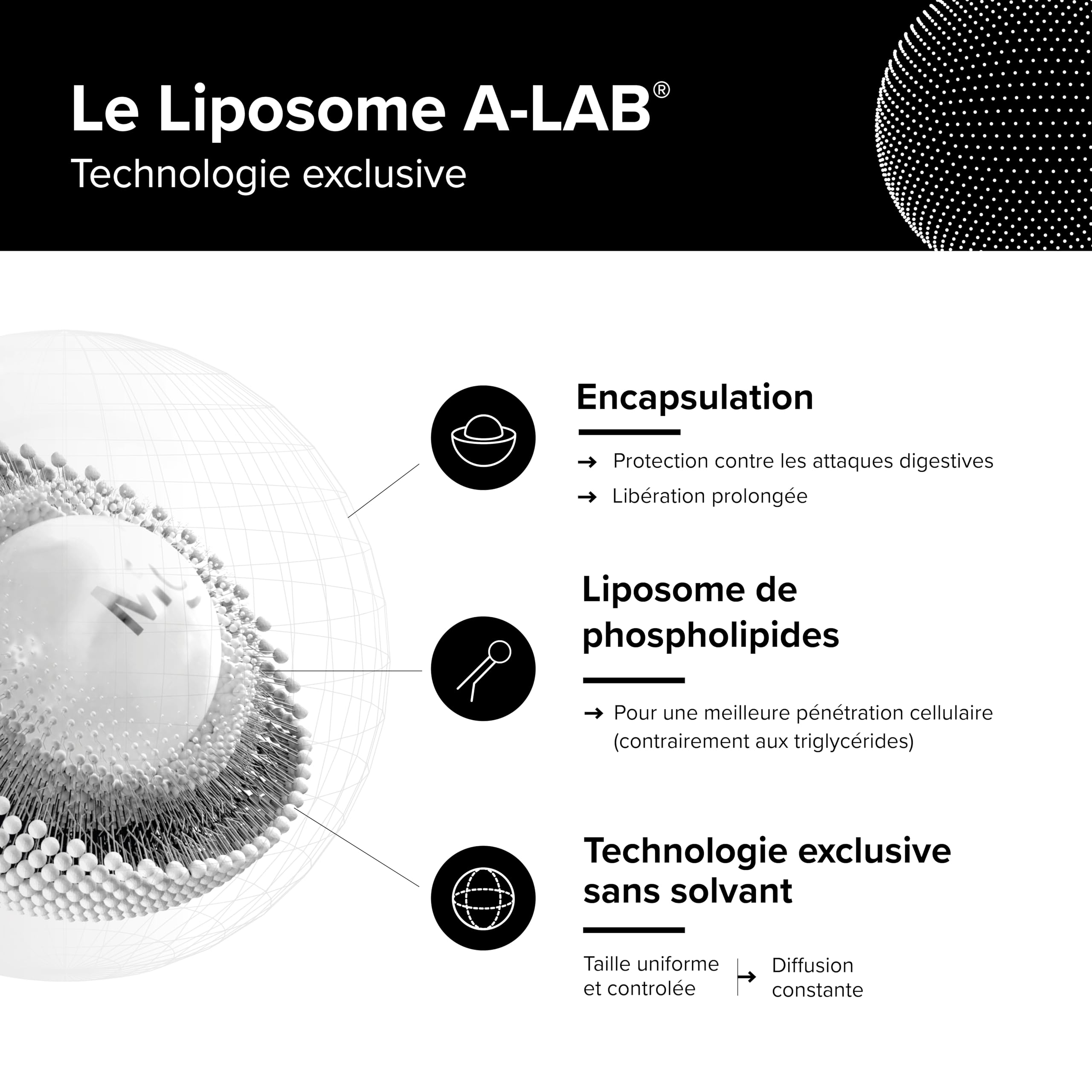 Keratine Liposomale 300mg - Cheveux, Ongles, Peau - Biotine, Vitamine B6, L-Cystine - A-Lab - 1 à 3 Gélules Par Jour