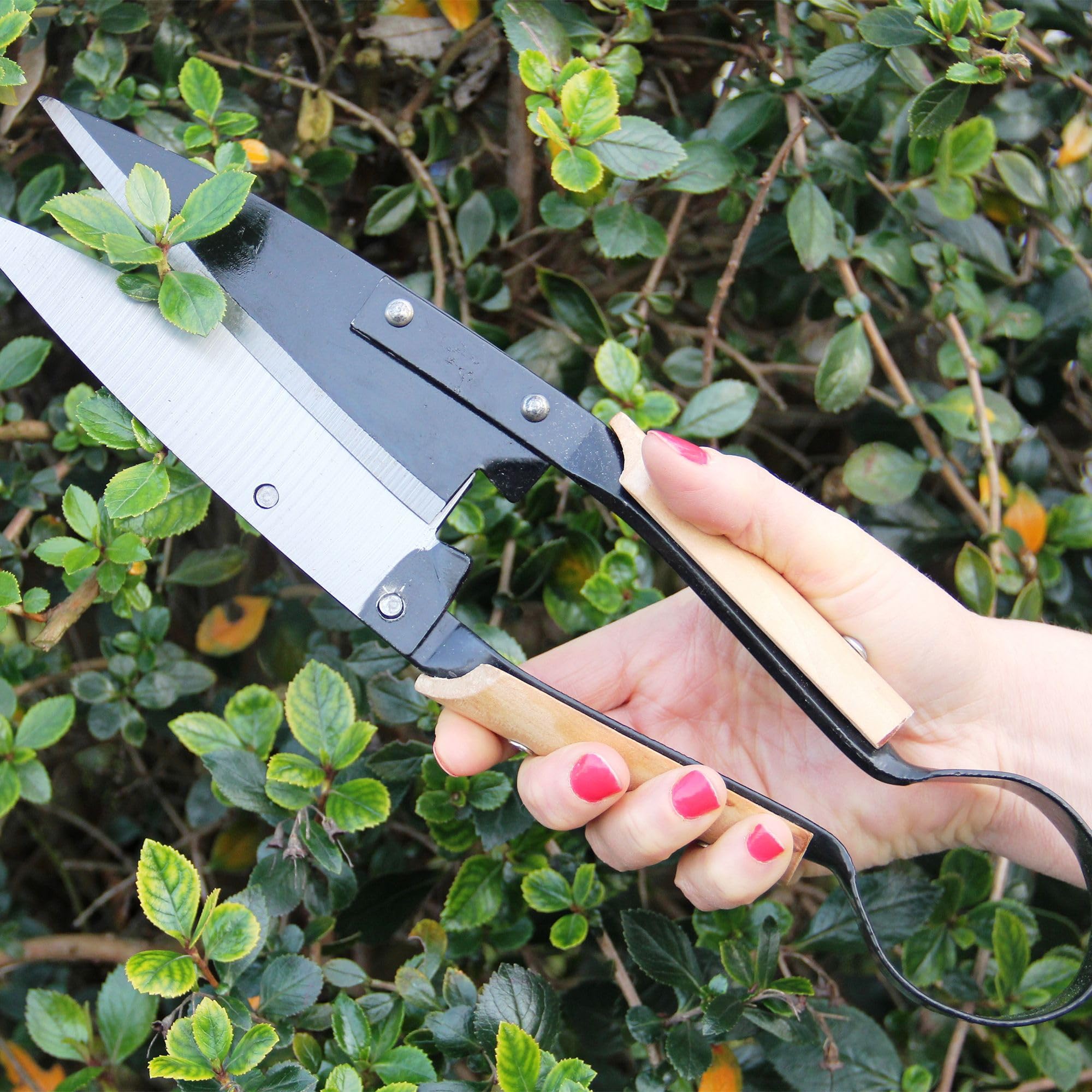 FISHTEC Ciseaux Cisaille Topiaire Tradition - Avec Etui - 33 cm - Sécateur de Jardin en Acier Inox et Manche revêtement Bois - Idéal pour tailler vos Fleurs, Buis, Bonsaï, Haies, Herbe
