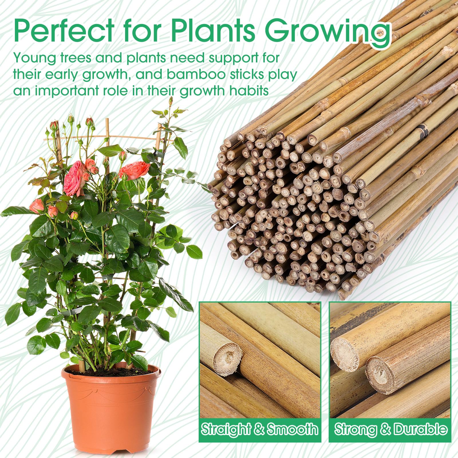 Suclain Estacas de bambú para plantas, estacas de soporte para plantas de interior y exterior, estacas de jardín para tomate, frijoles, flores, árboles en maceta y soporte para plantas trepadoras (200