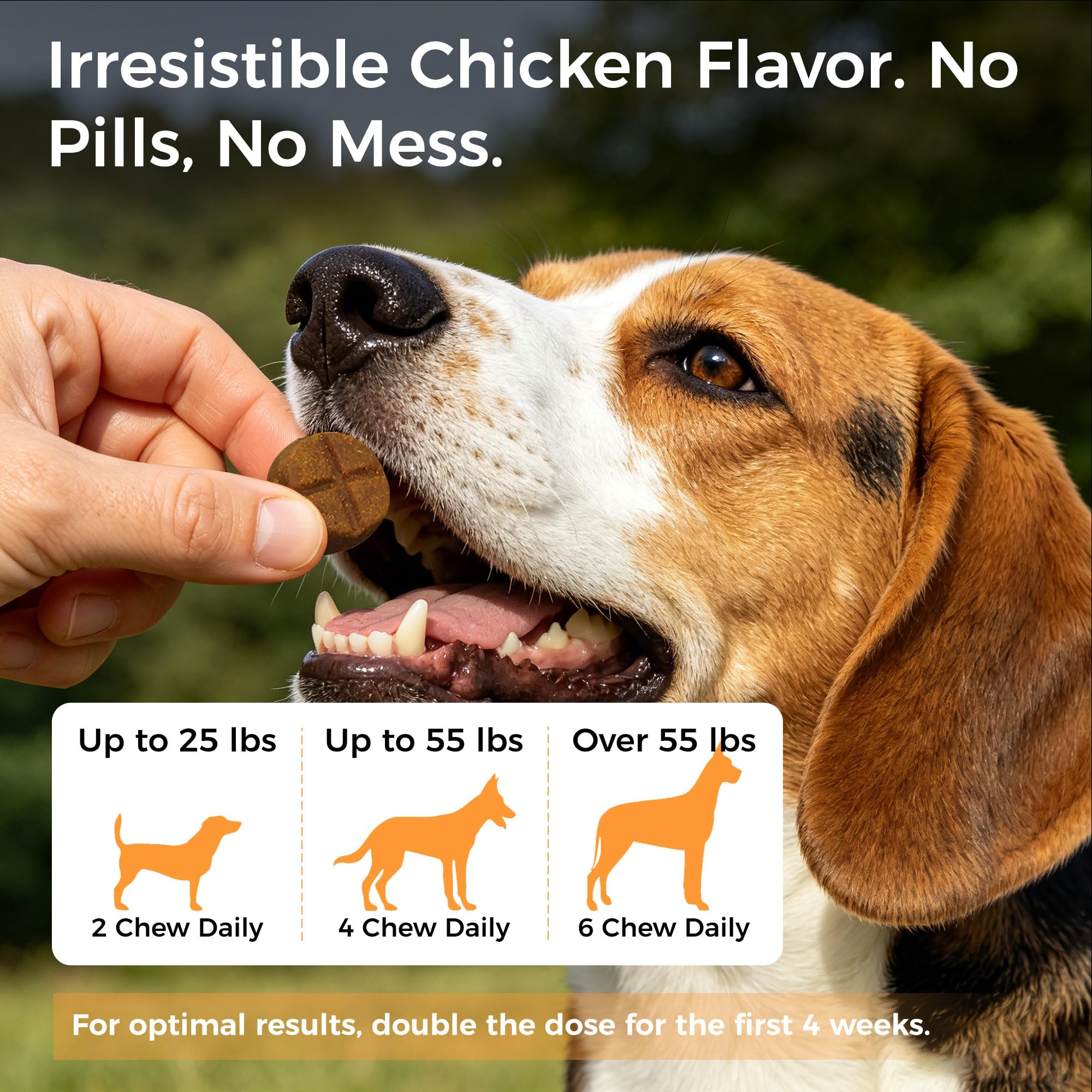 31-in-1 Dog Multivitamin Soft Chews – 185 Chews, 90-Day |SupplyGlucosamine+Chondroitin+MSM | Salmon Oil | 740M CFU Probiotics | Chelated Minerals | B-Complex | Gut+Immune | Grain-Free — Amazon image 7