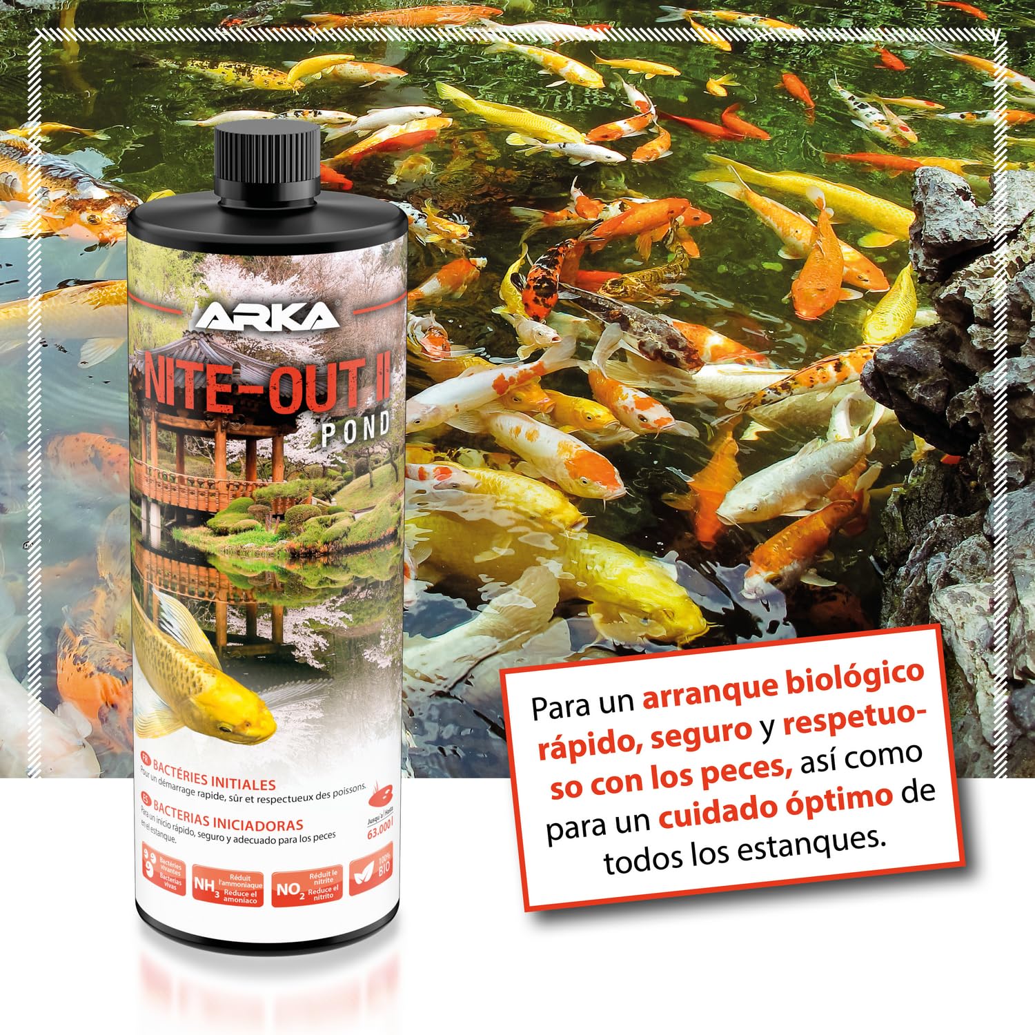 ARKA Pond Nite-out II - 946 ml - Bacterias iniciadoras Especialmente desarrolladas para estanques, preparan el Estanque para una siembra de Peces rápida y Segura.