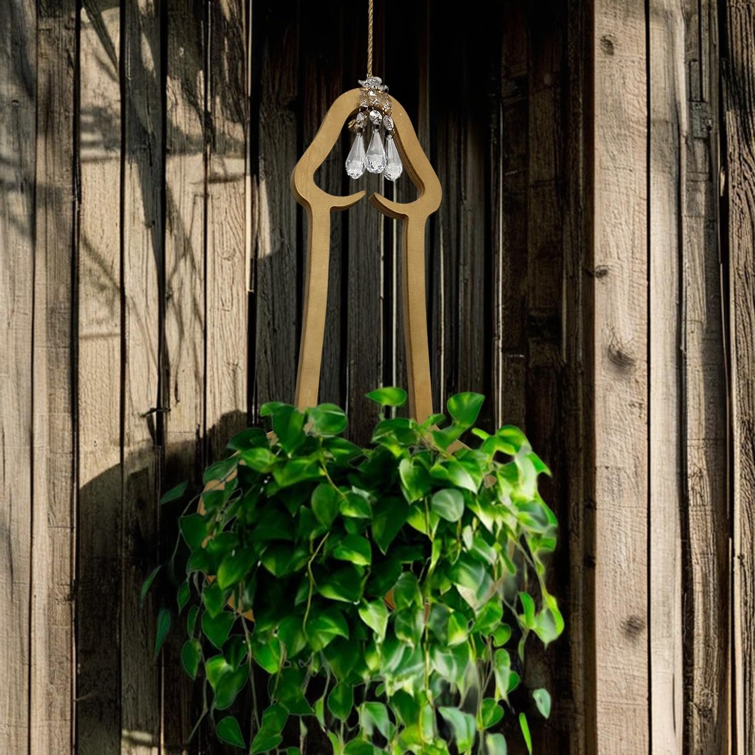 Funny Flower Pots Plant Hanger, Mr. Morningwood, Versatile Plant Hanger & Pot, Wood Penis Planter, Unique Plant Stand, Gift for Plant Lover, Perfect Home Decor and Planter Accessory for Indoor
