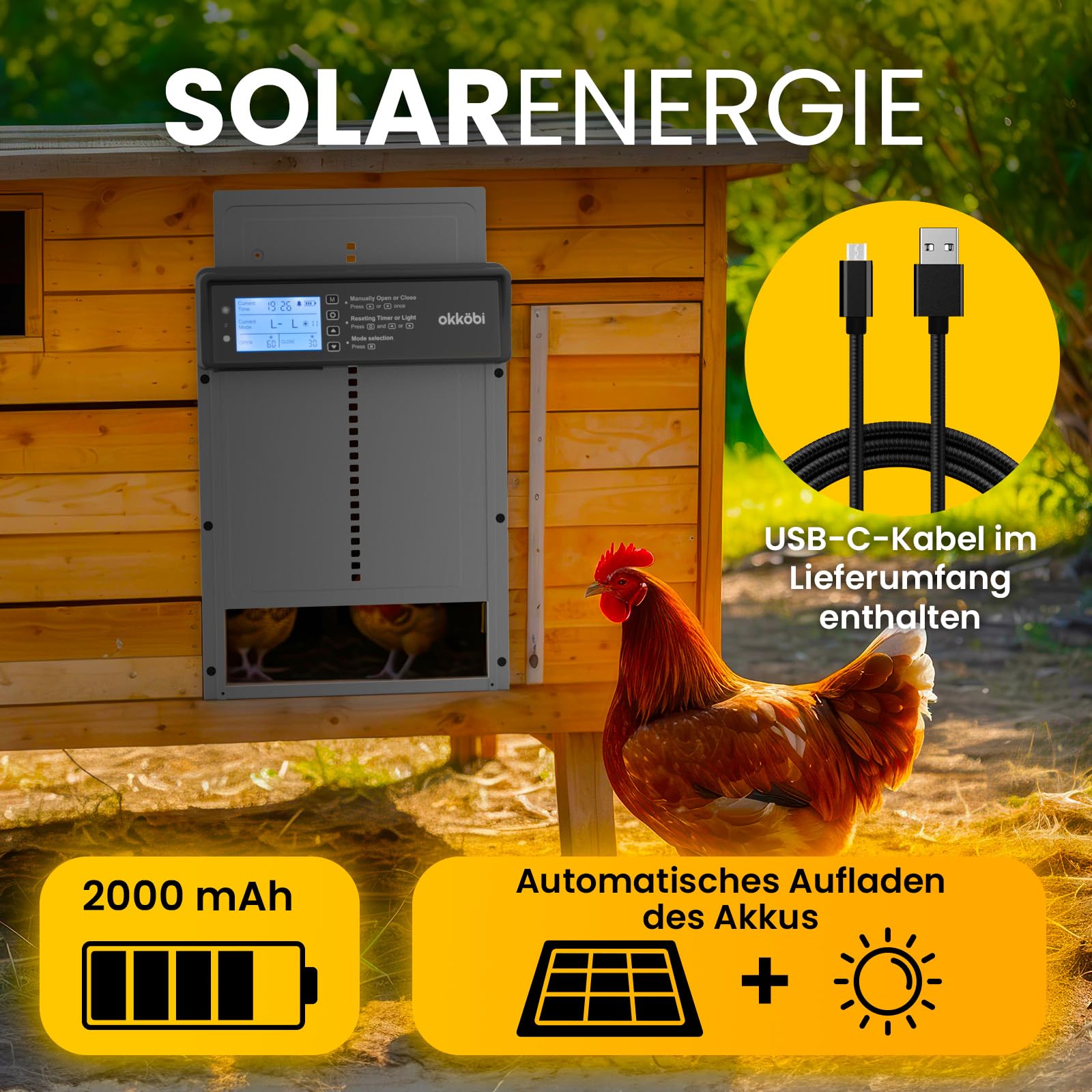 Okkobi Hühnerklappe Automatisch Solar - LCD Display - Automatische hühnerklappe mit Fernbedienung, Lichtsensor & Timer - Sicherheit & Seelenfrieden: Sicherheitsmechanismus - 5 Jahre Schutz