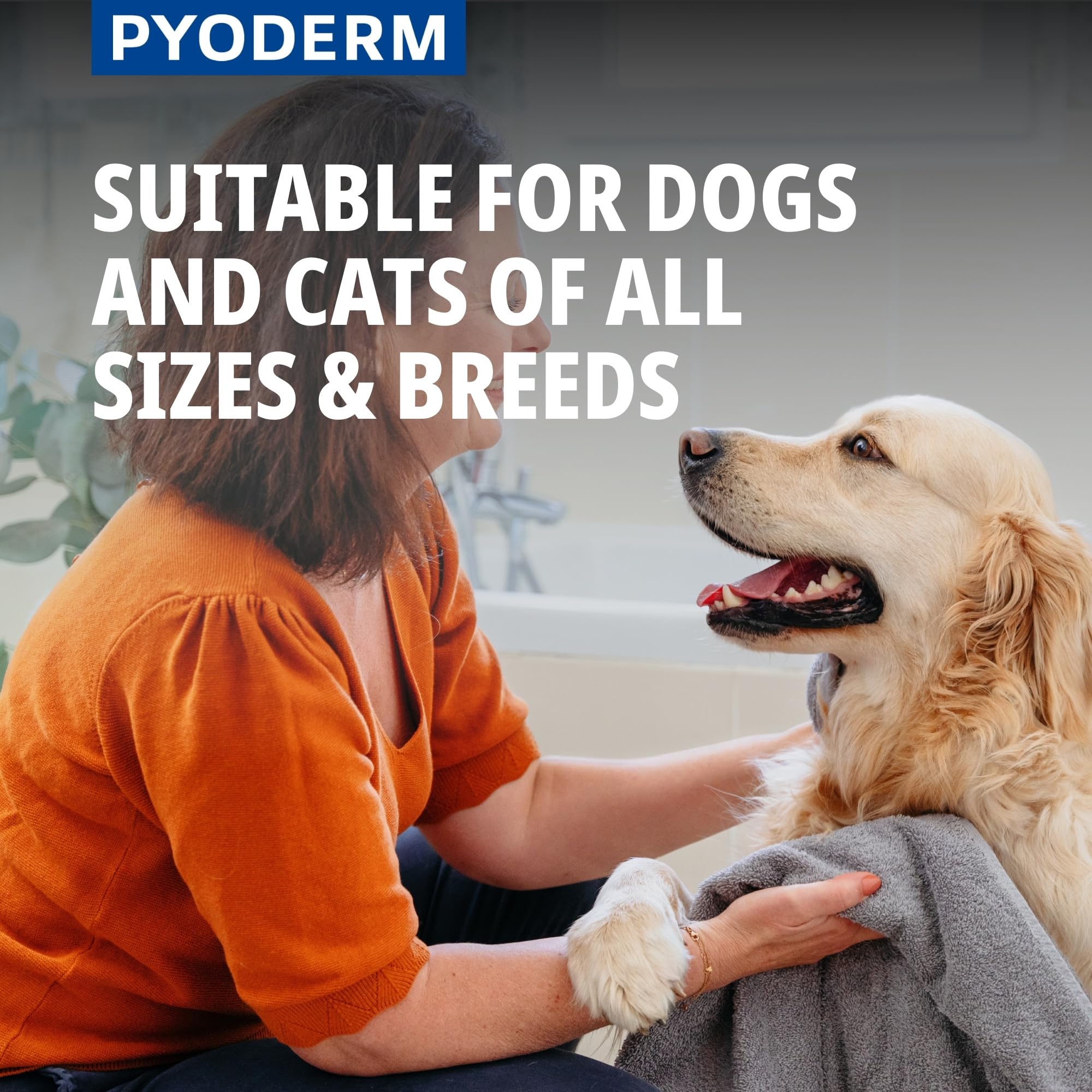 Pyoderm Champú Dermatológico 250ML para Pieles con Desequilibrio Microbiano para Perros Y Gatos