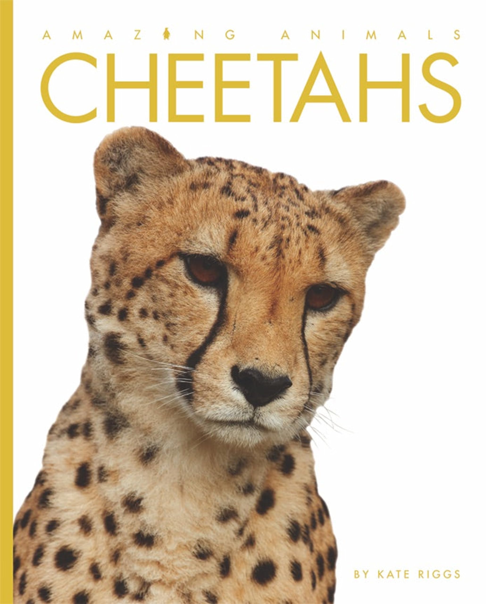 Amazing Animals: Cheetahs Paperback – April 15, 2011