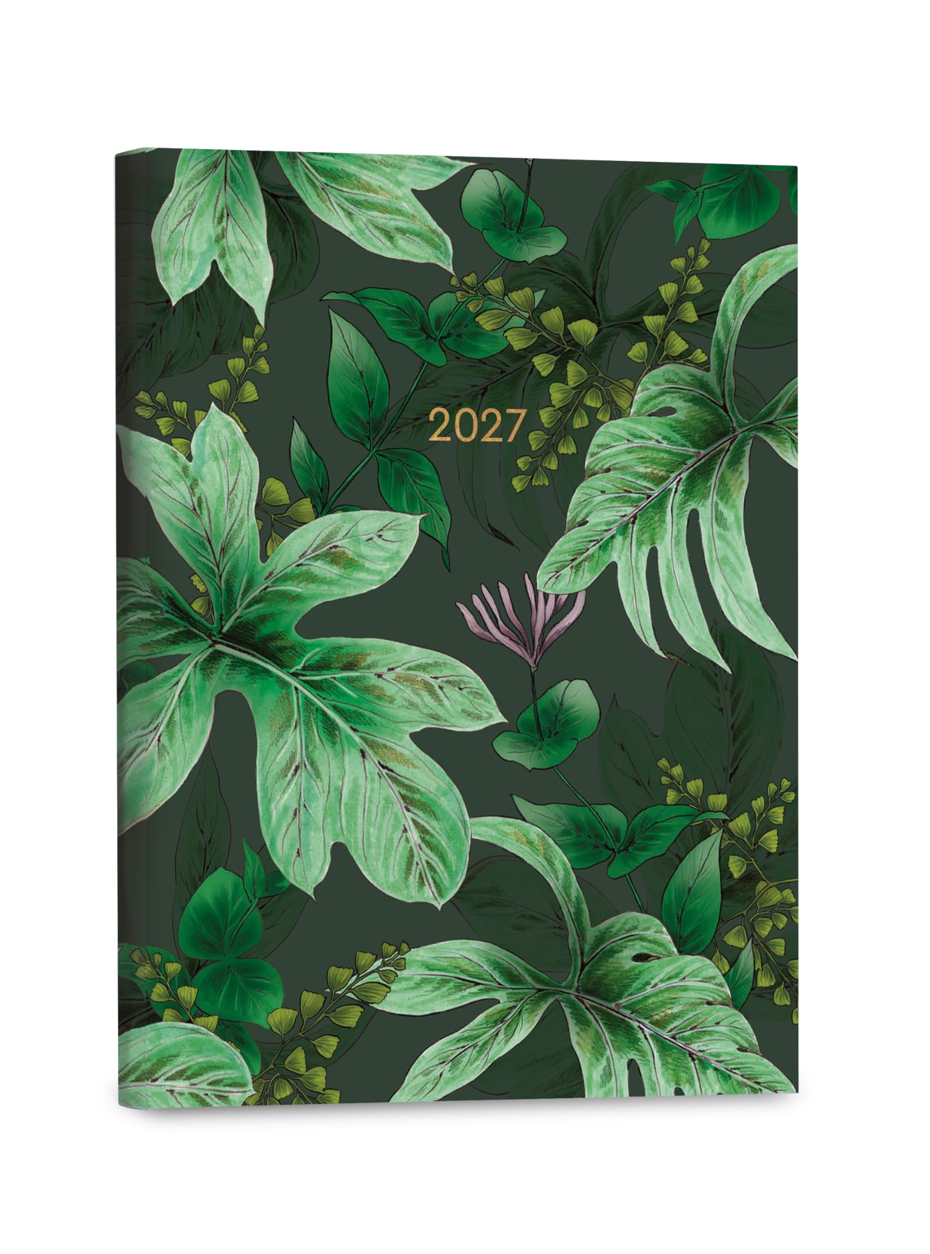 Amazon.com : High Note 2027 Planner, 17-Month Weekly & Monthly