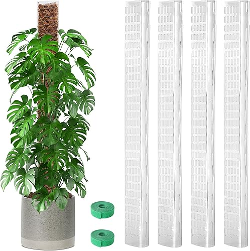 Miniatura 18 de EOX 2 postes de musgo de plástico de 24 pulgadas para Monstera, postes grandes en forma de D para plantas trepadoras, funcionan con musgo esfagnum